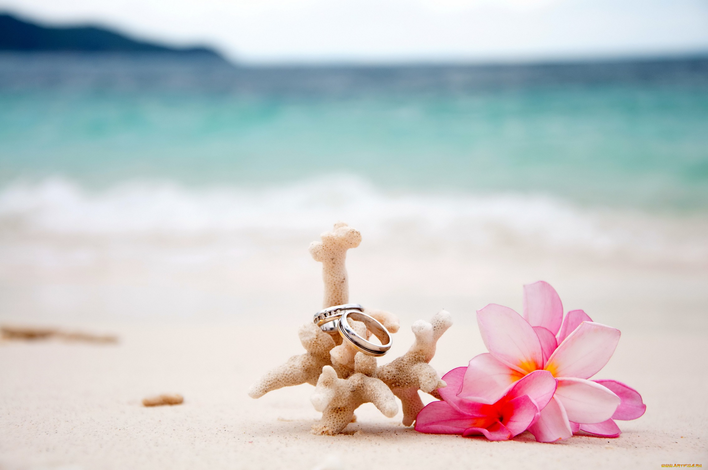 разное, украшения, , аксессуары, , веера, flowers, beach, sand, coral, plumeria, rings, wedding