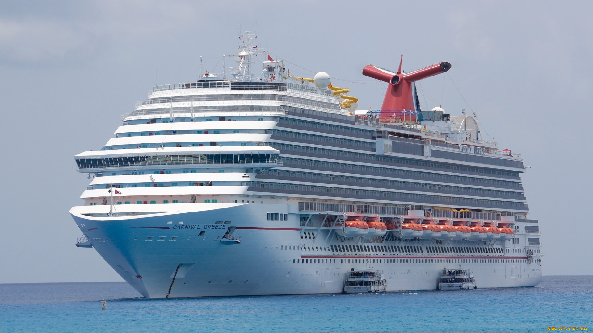 carnival, breeze, корабли, лайнеры, круизный, лайнер