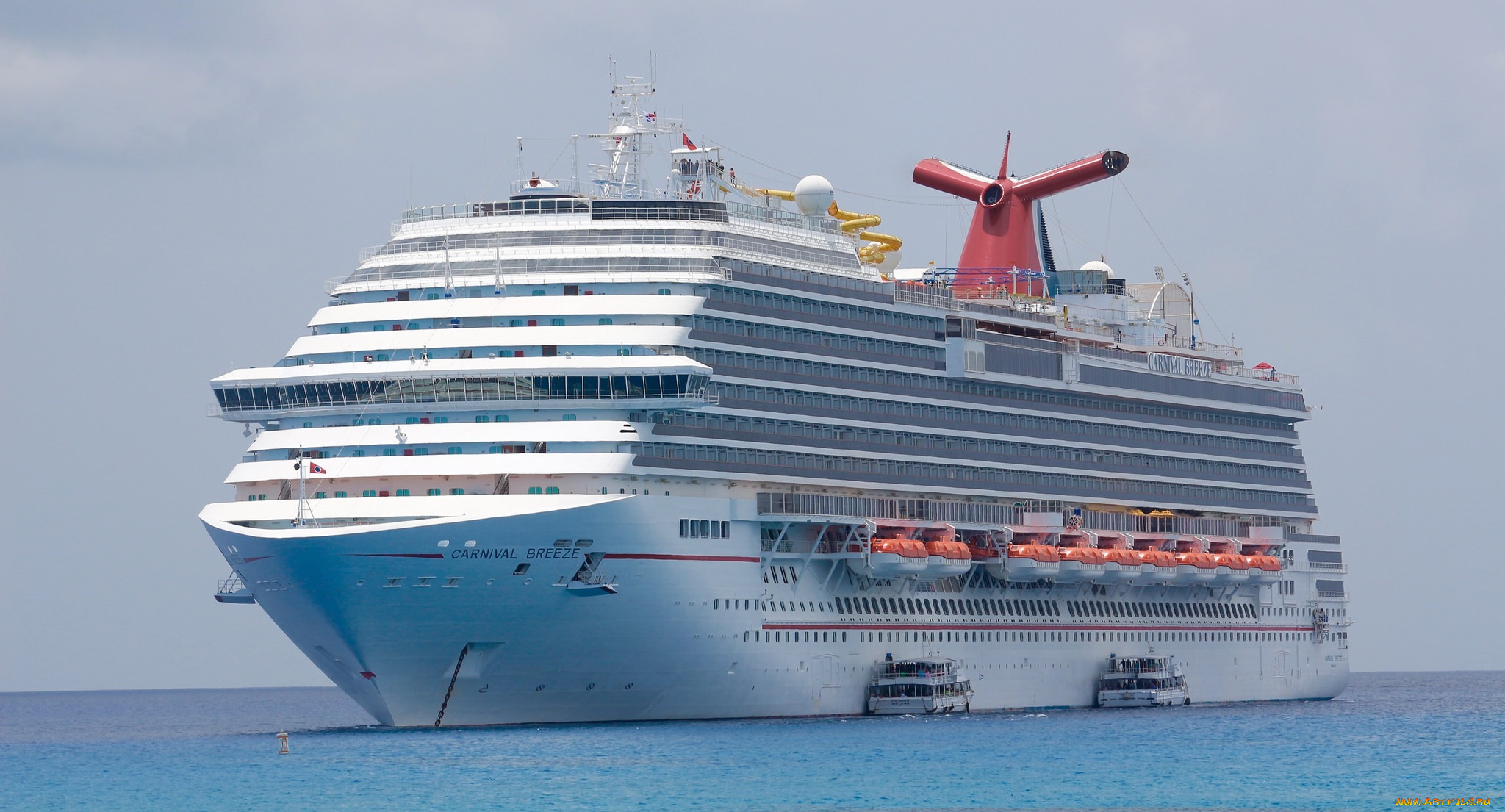 carnival, breeze, корабли, лайнеры, круизный, лайнер