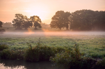 Картинка природа восходы закаты свет солнце лучи деревья утро весна туман роса трава камыш река