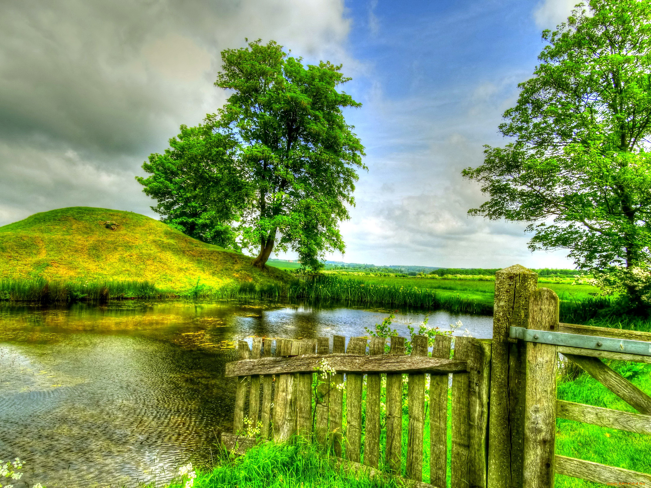 природа, реки, озера, забор, пруд, лето, облака, небо, зелень, поле, деревья, камыши, трава