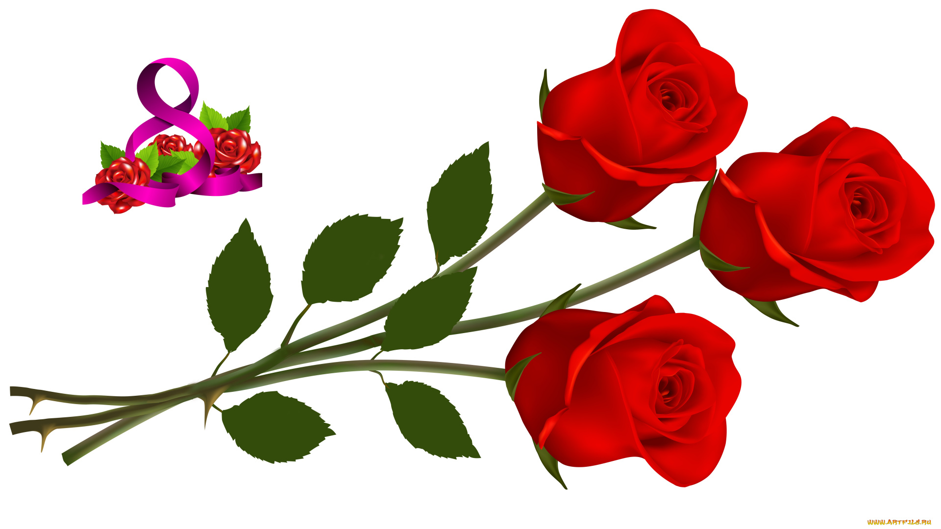 праздничные, международный, женский, день, -, 8, марта, розы, флора, цветы, праздник, фон