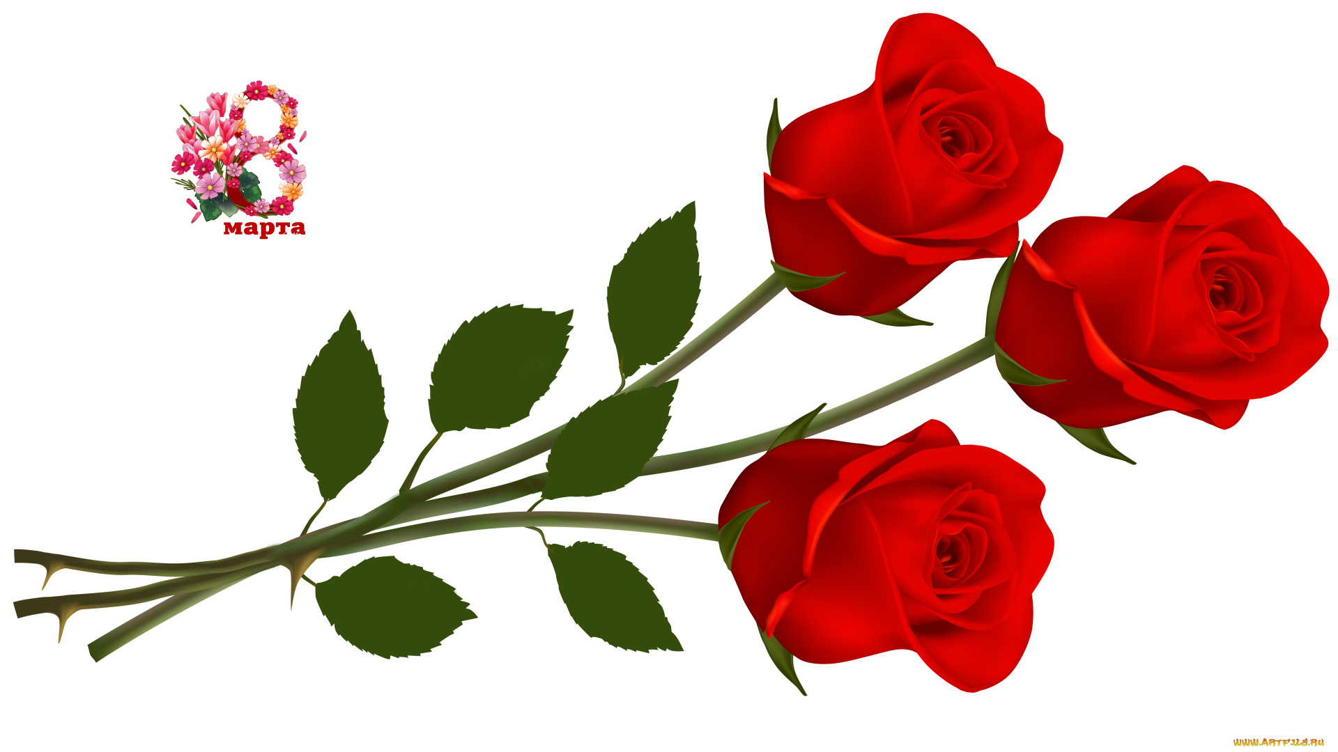 праздничные, международный, женский, день, -, 8, марта, фон, флора, цветы, розы, праздник