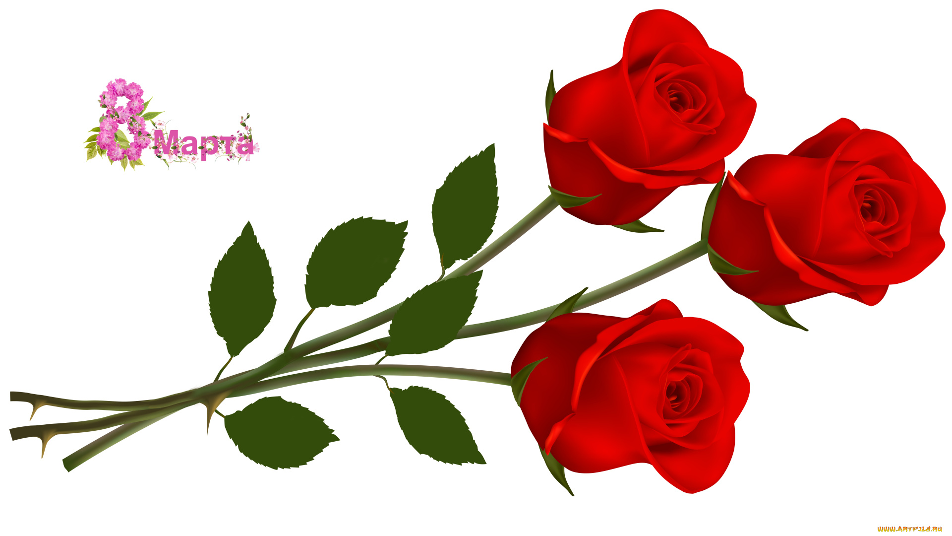 праздничные, международный, женский, день, -, 8, марта, праздник, фон, флора, цветы, розы