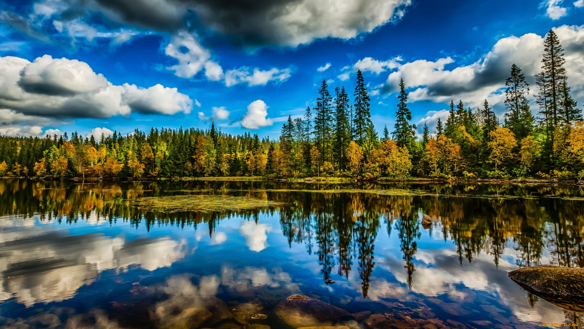природа, реки, озера, озеро, деревья, облака, небо, лес, отражение
