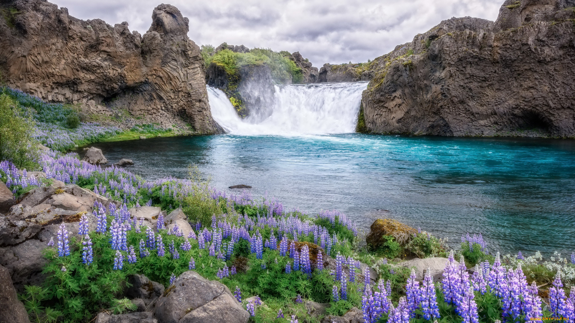 природа, водопады, цветы, водопад, река