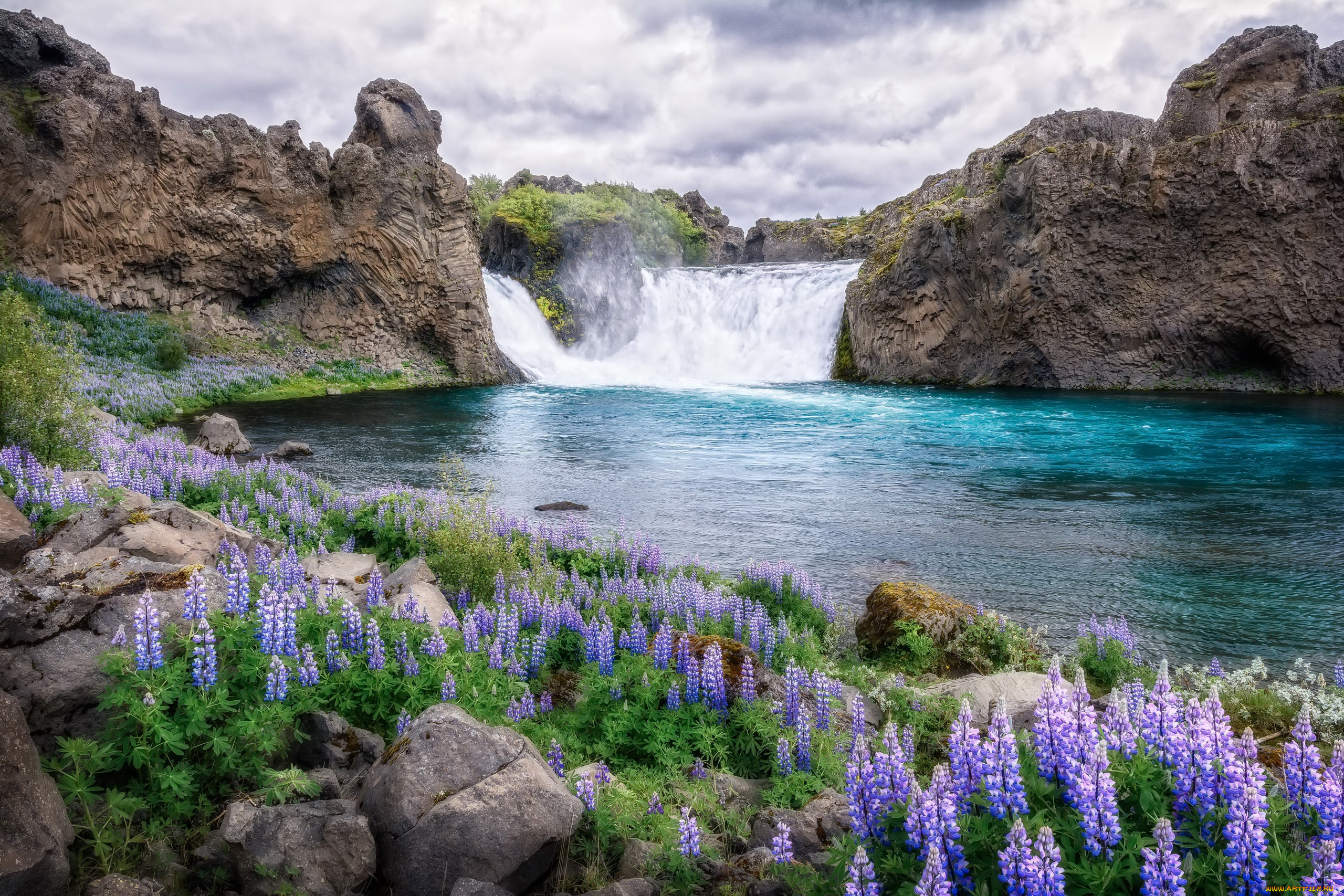 природа, водопады, цветы, водопад, река