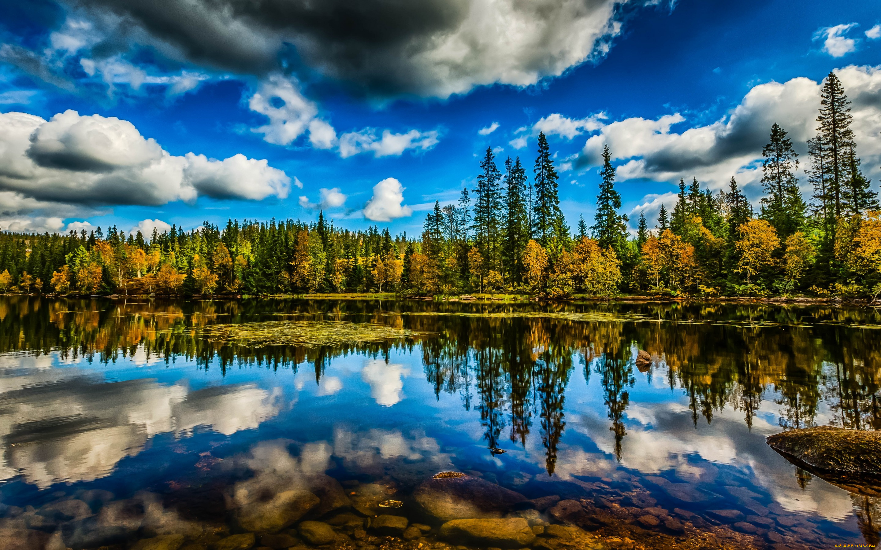 природа, реки, озера, озеро, деревья, облака, небо, лес, отражение