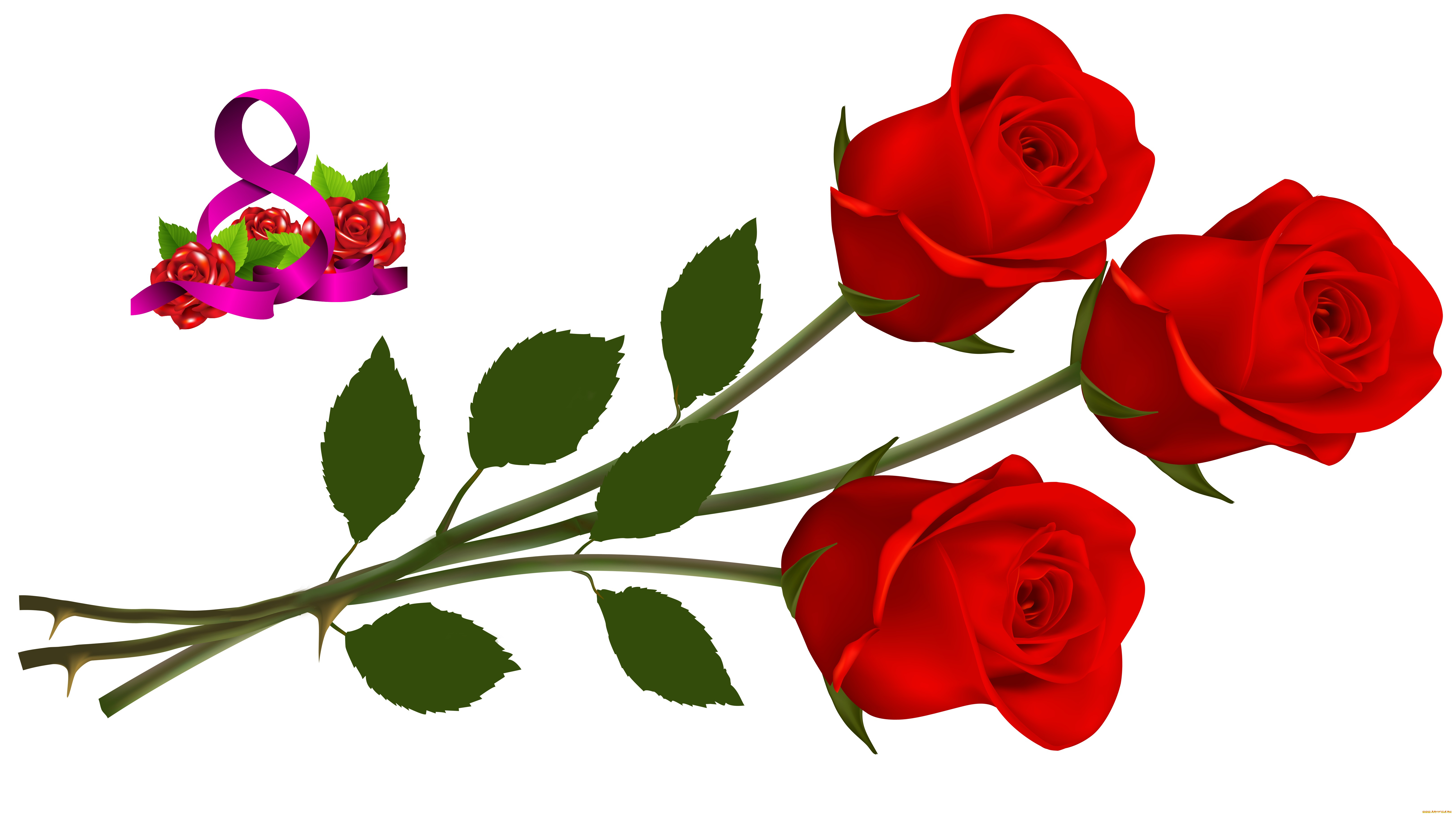 праздничные, международный, женский, день, -, 8, марта, розы, флора, цветы, праздник, фон