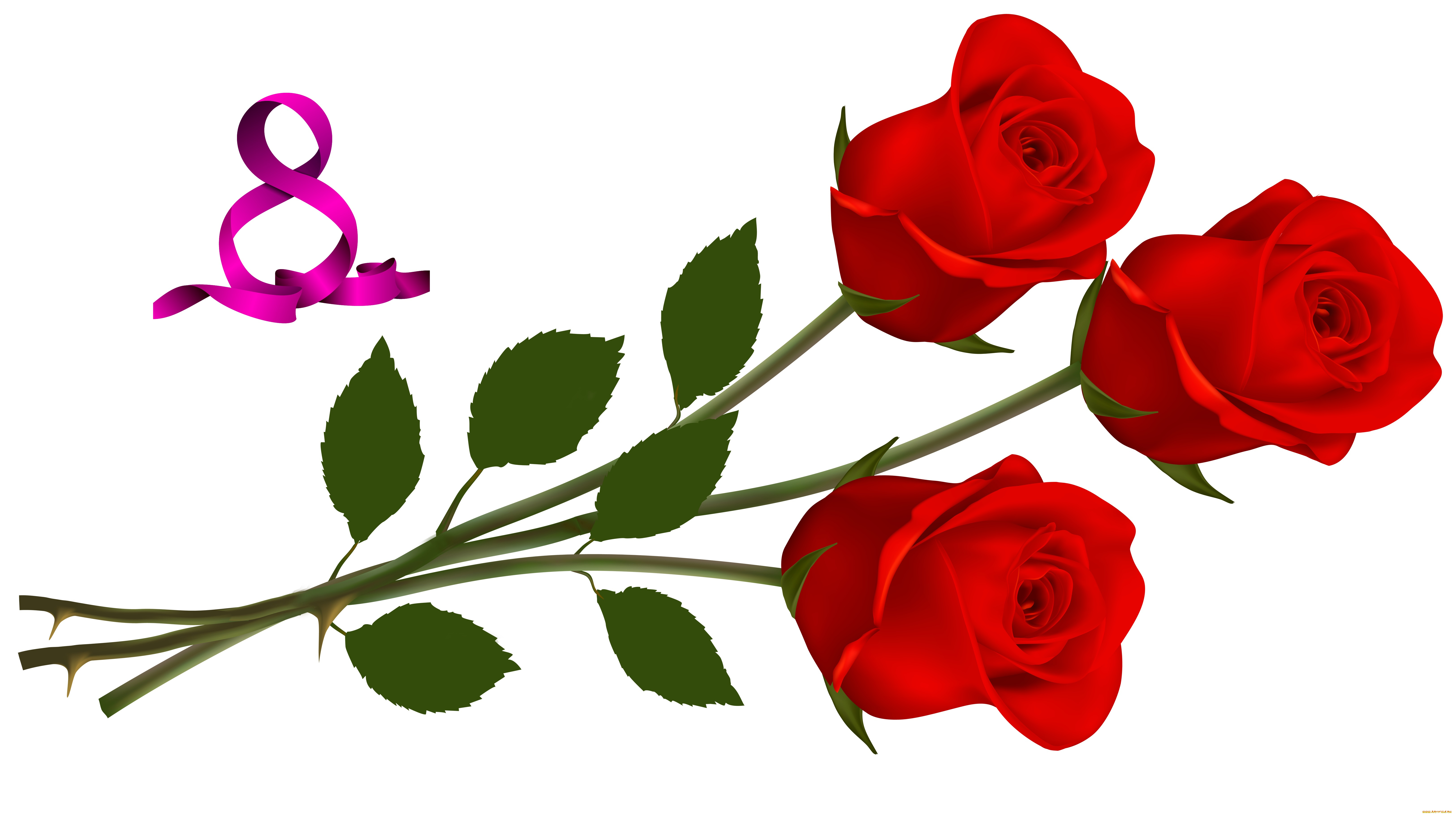 праздничные, международный, женский, день, -, 8, марта, фон, флора, цветы, розы, праздник