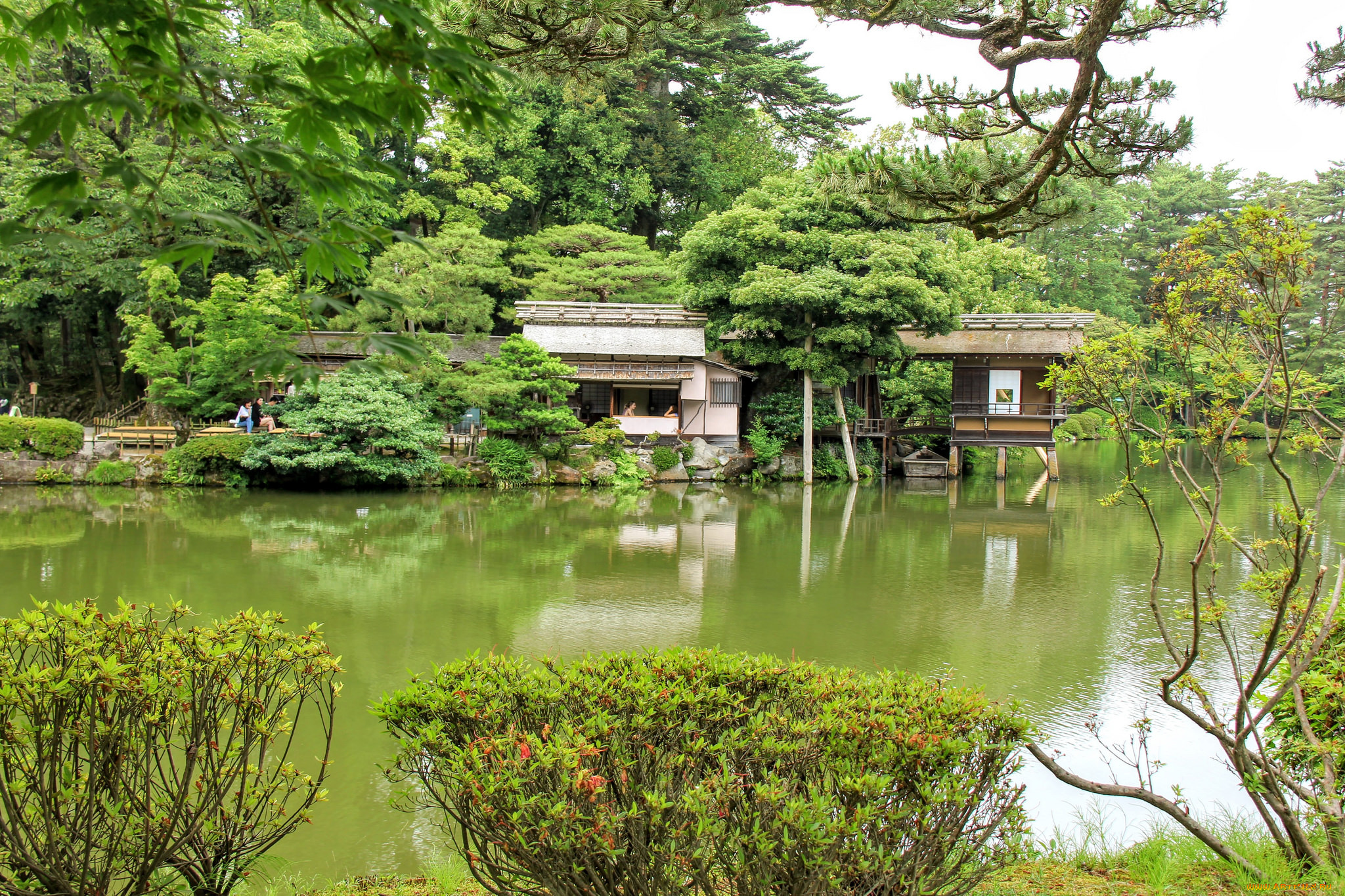 природа, реки, озера, япония