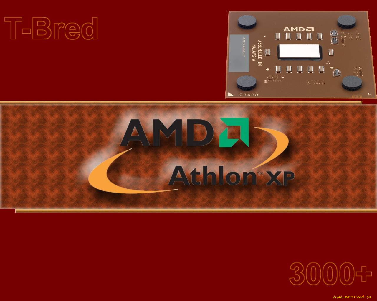 amd, компьютеры