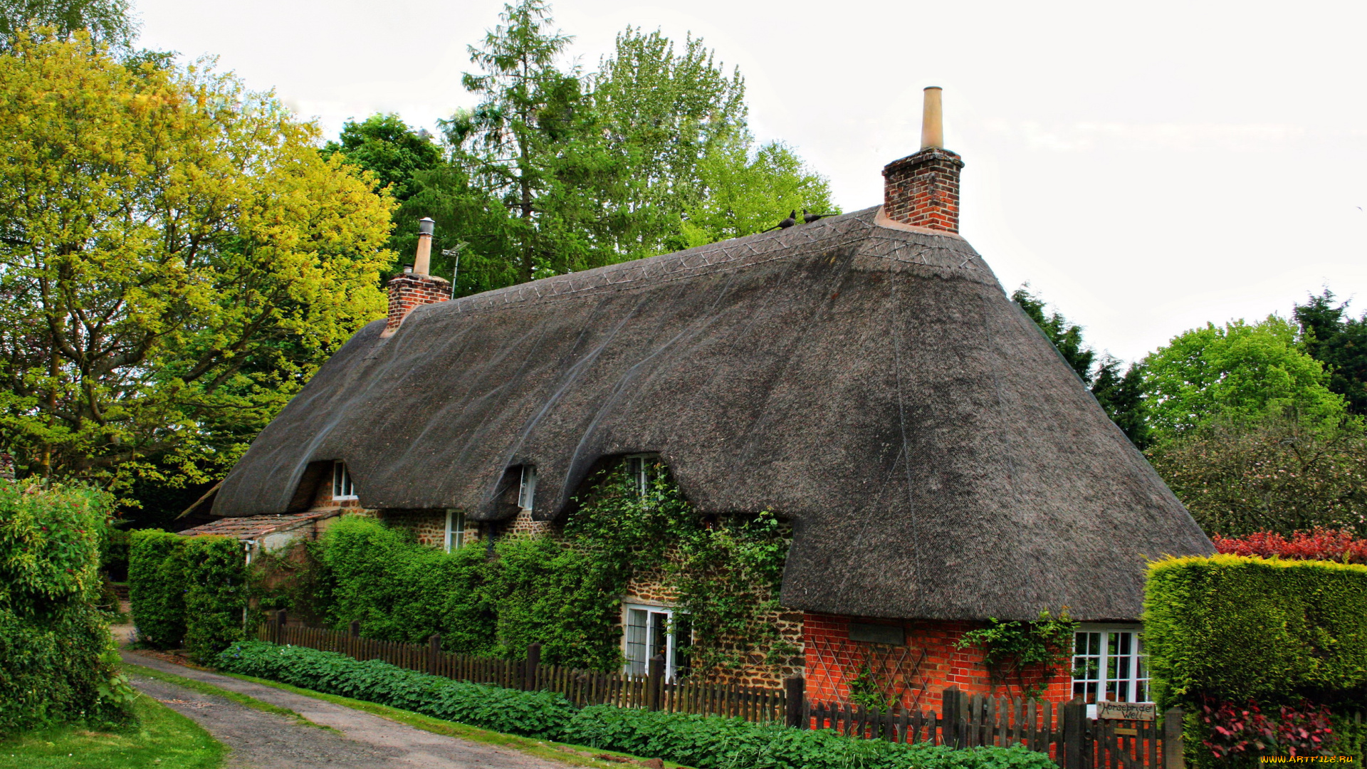 calne, wiltshire, england, города, здания, дома, ландшафт, улица, коттедж, деревья, дорога