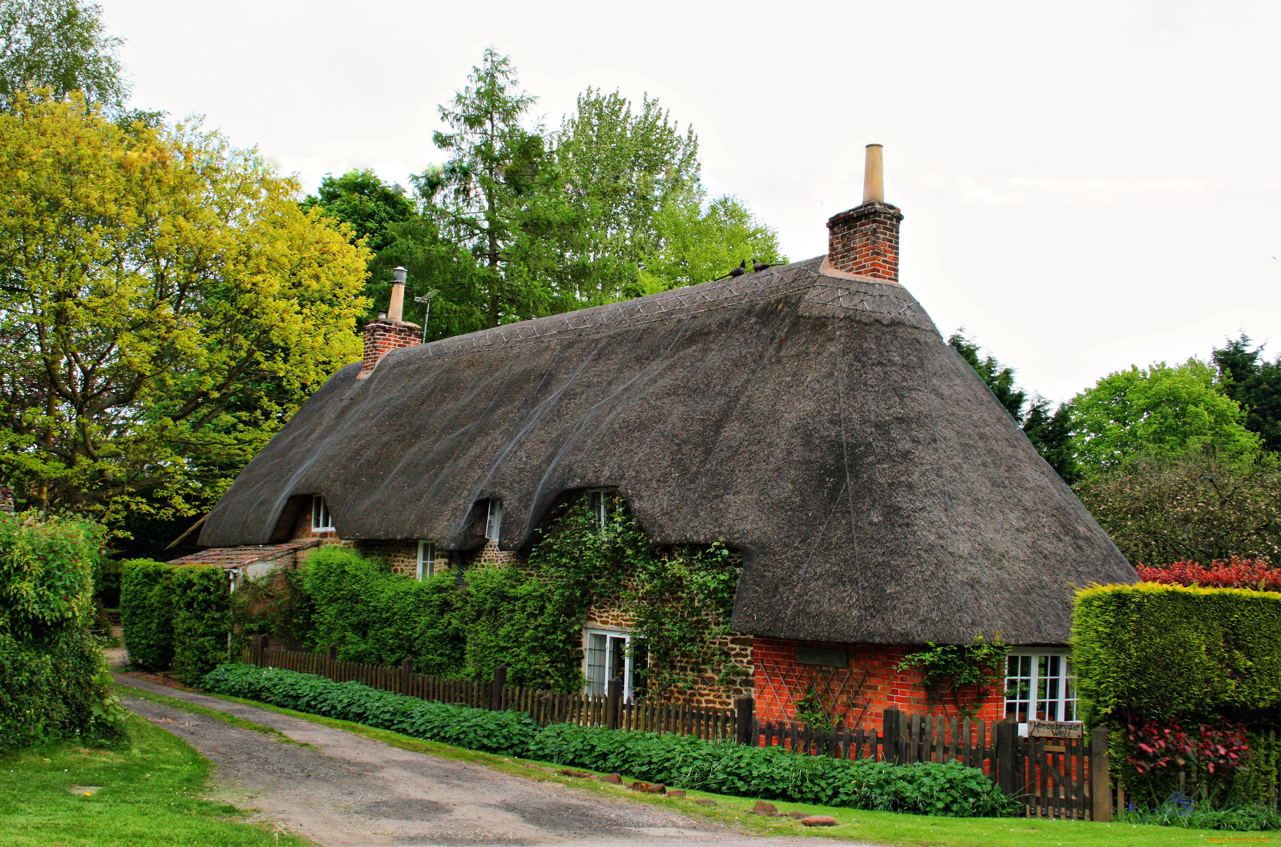 calne, wiltshire, england, города, здания, дома, ландшафт, улица, коттедж, деревья, дорога