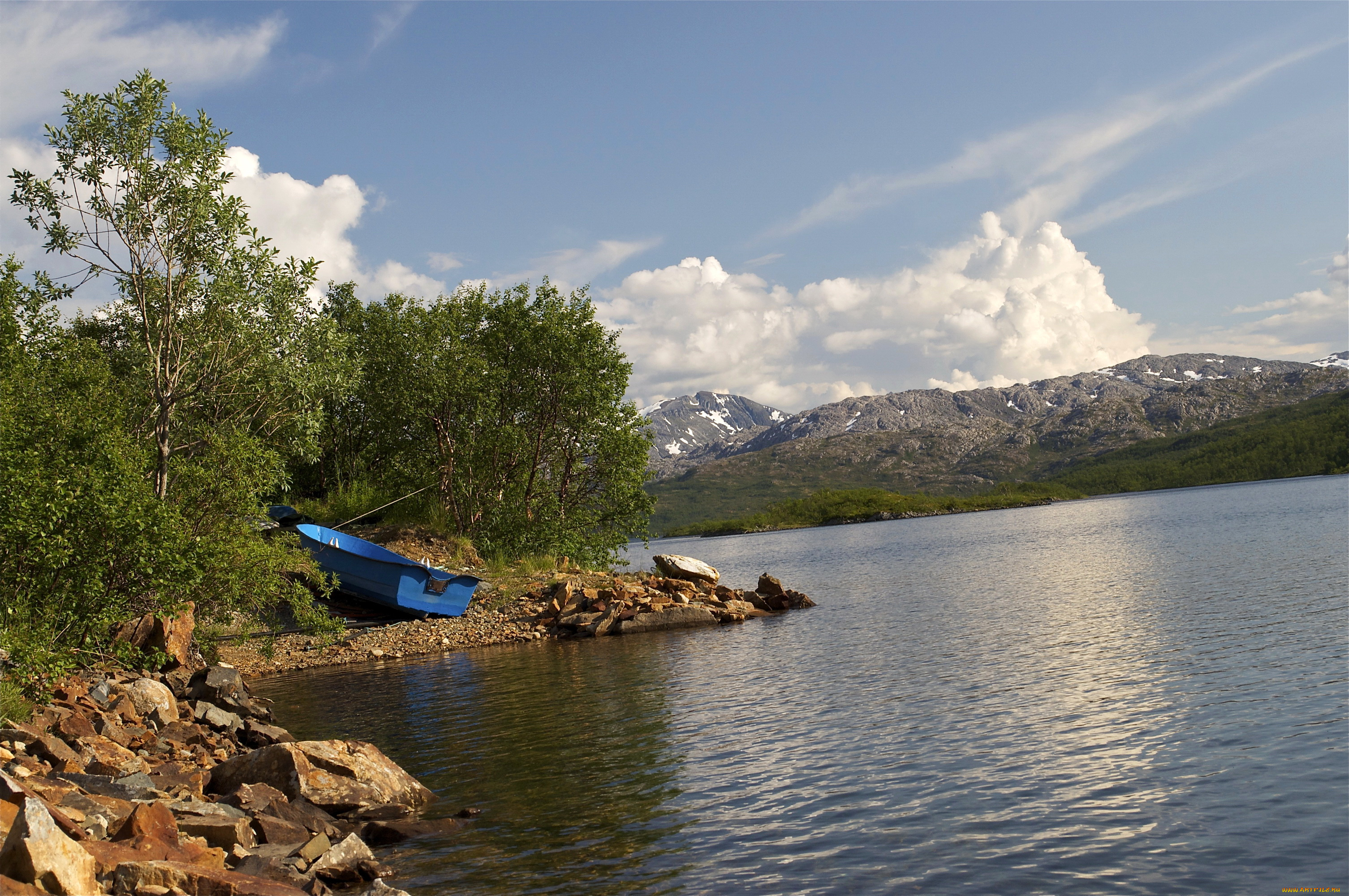 hansnes, , норвегия, природа, реки, озера, озеро, норвегия, norway, hansnes, побережье, лодка