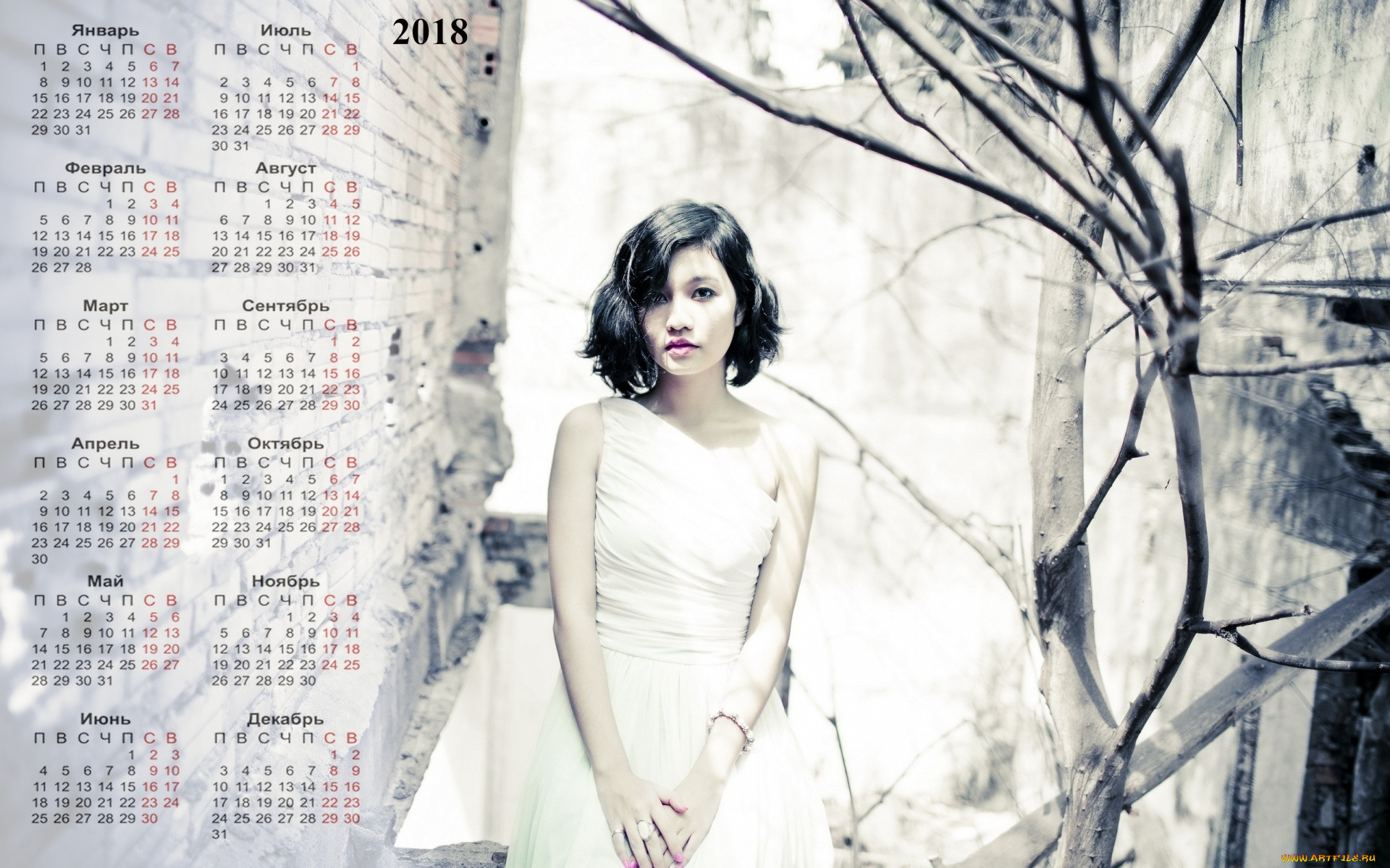 календари, девушки, дерево, взгляд