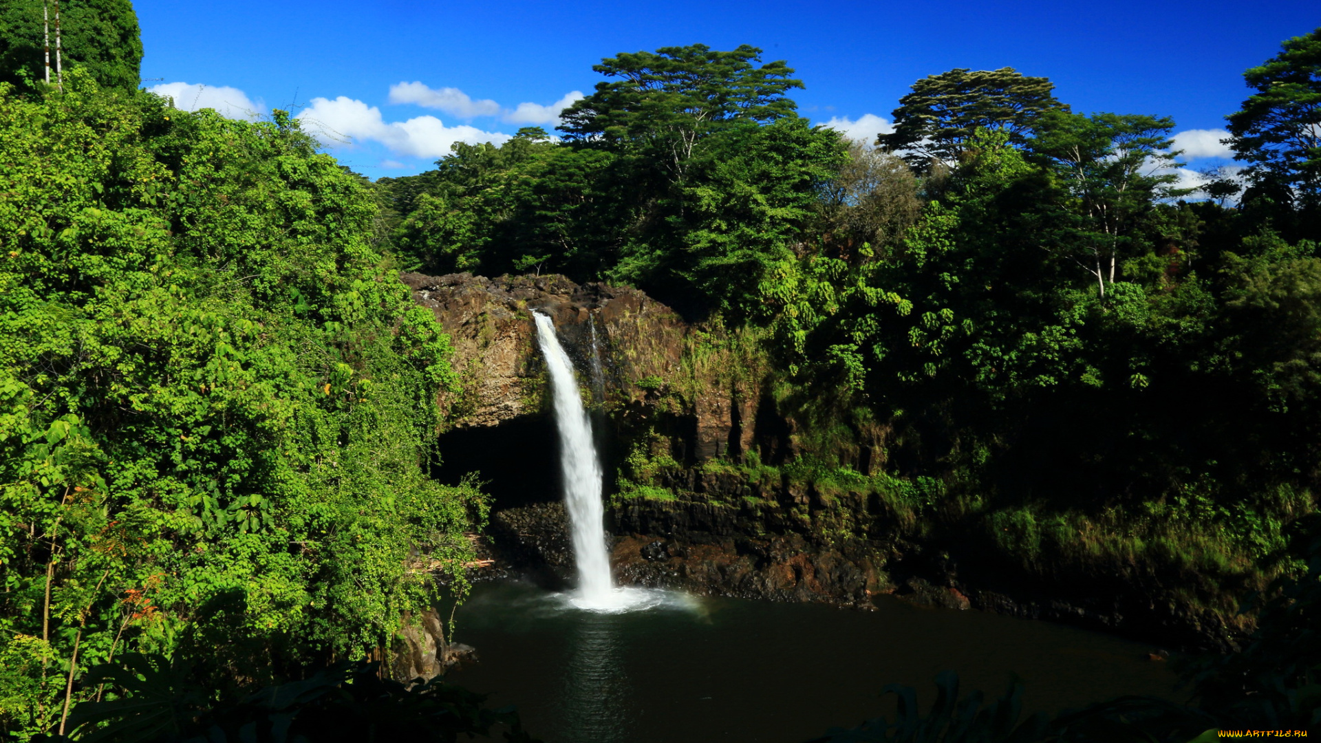 hawaii, akaka, falls, природа, водопады, лес, водопад