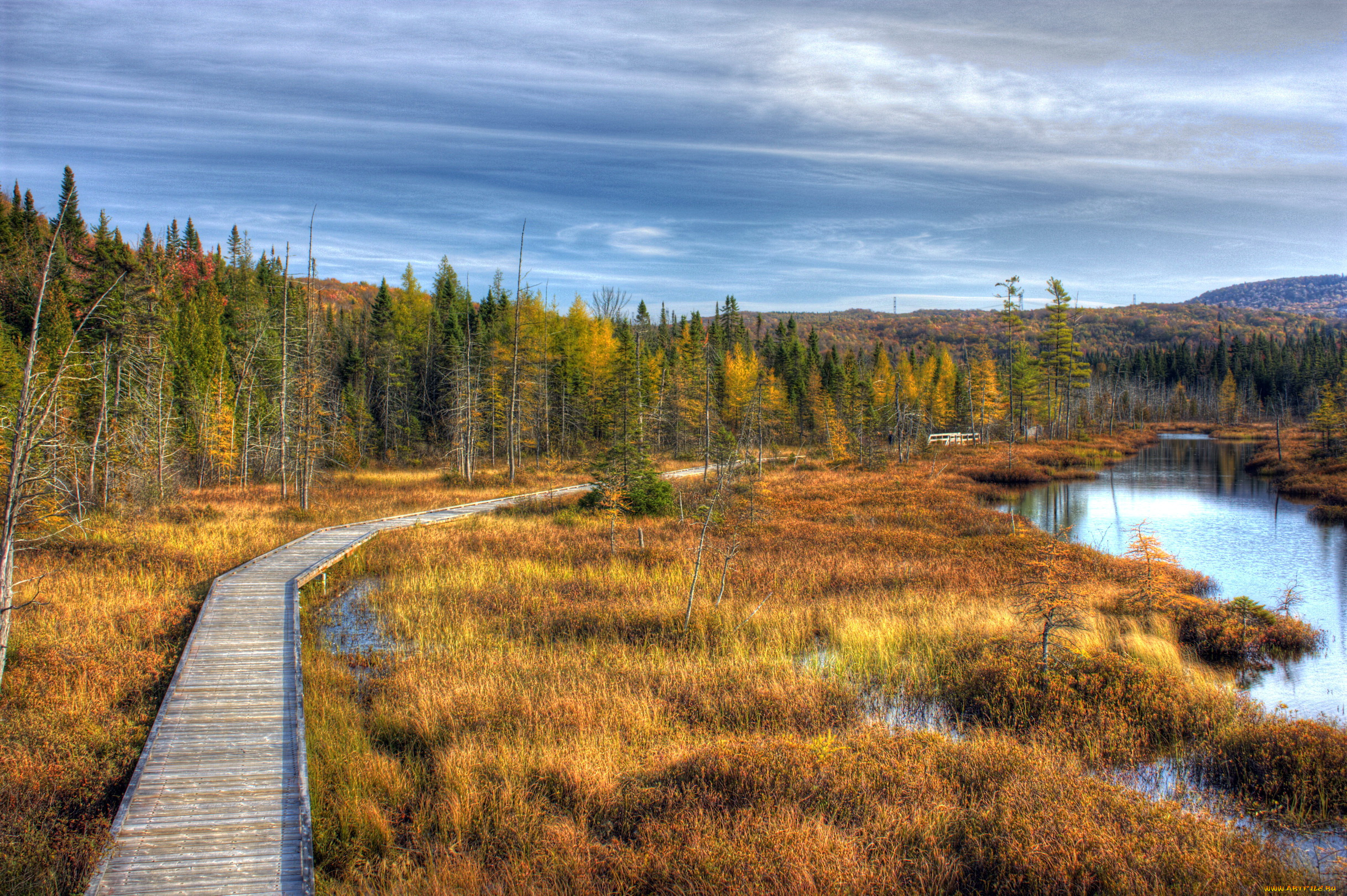 квебек, канада, природа, пейзажи, тропа, осень, лес, озеро