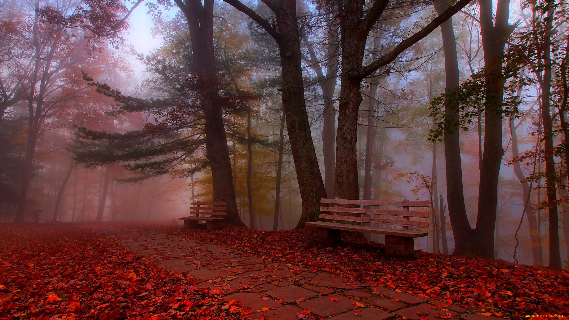 природа, дороги, деревья, листья, bench, nature, hdr, walk, autumn, colors, road, grass, park, trees, leaves, трава, парк, скамейка, прогулка, осень