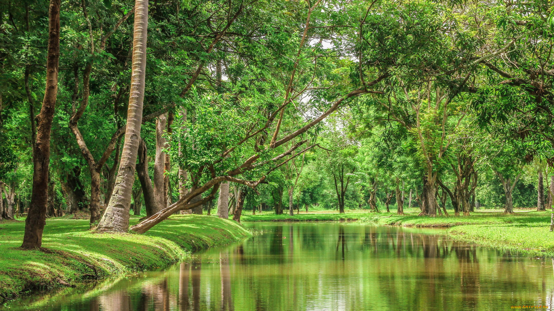 природа, реки, озера, таиланд, красота, деревья, река, пейзаж