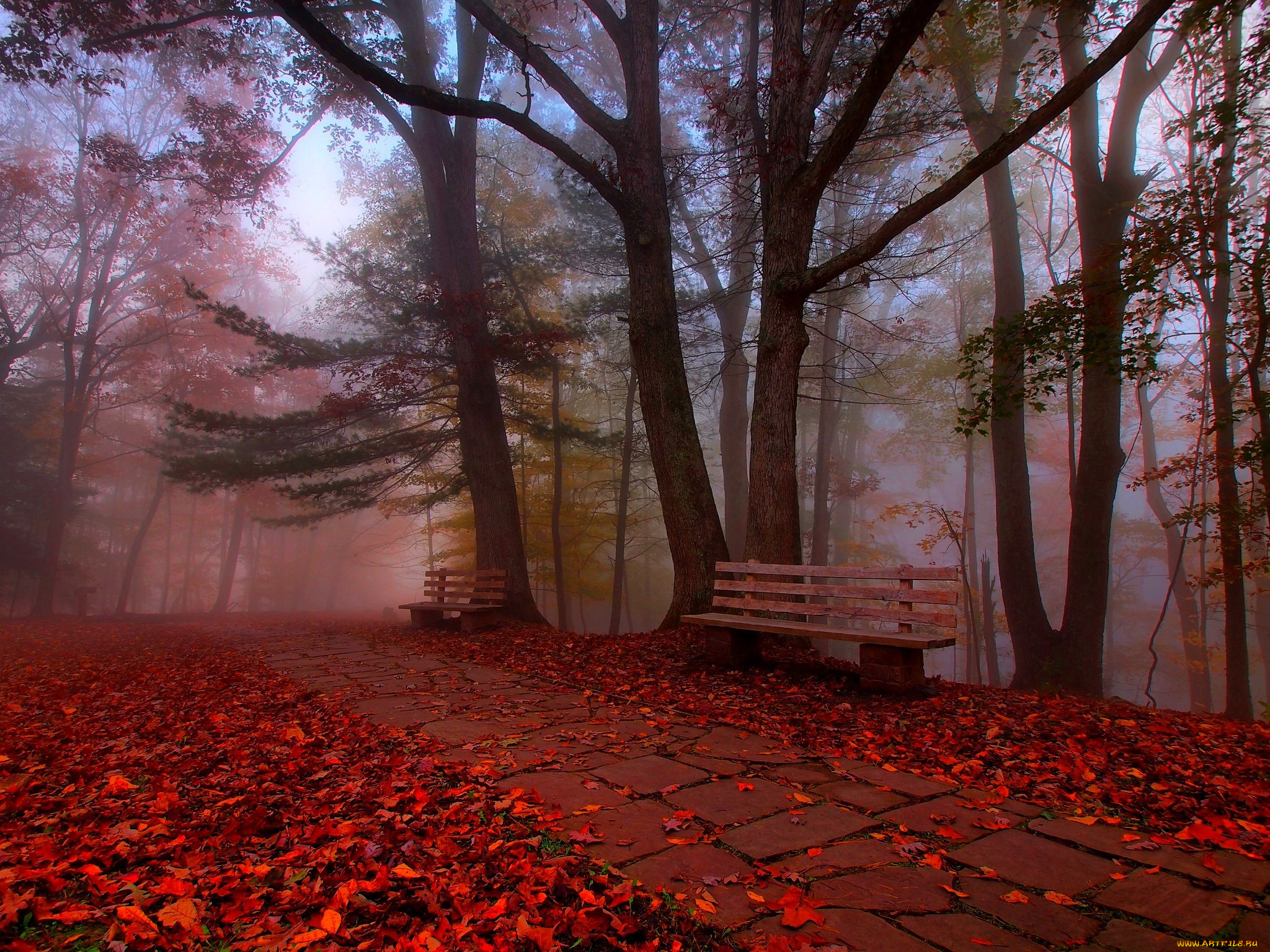 природа, дороги, деревья, листья, bench, nature, hdr, walk, autumn, colors, road, grass, park, trees, leaves, трава, парк, скамейка, прогулка, осень