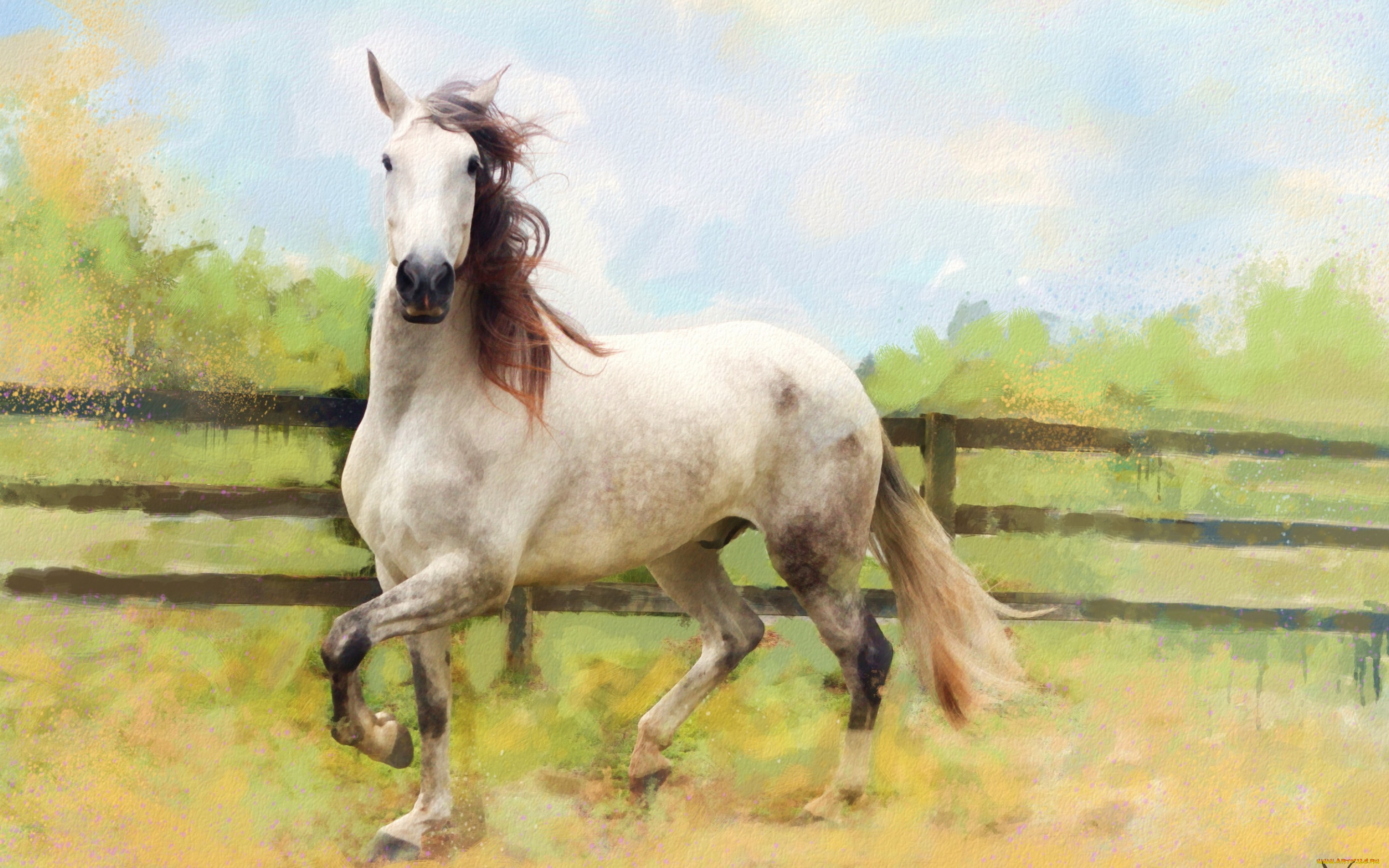 рисованное, животные, , лошади, светлая, ограждение, пастельные, тона, поле, конь, лошадь, картина, графика, живопись, белая