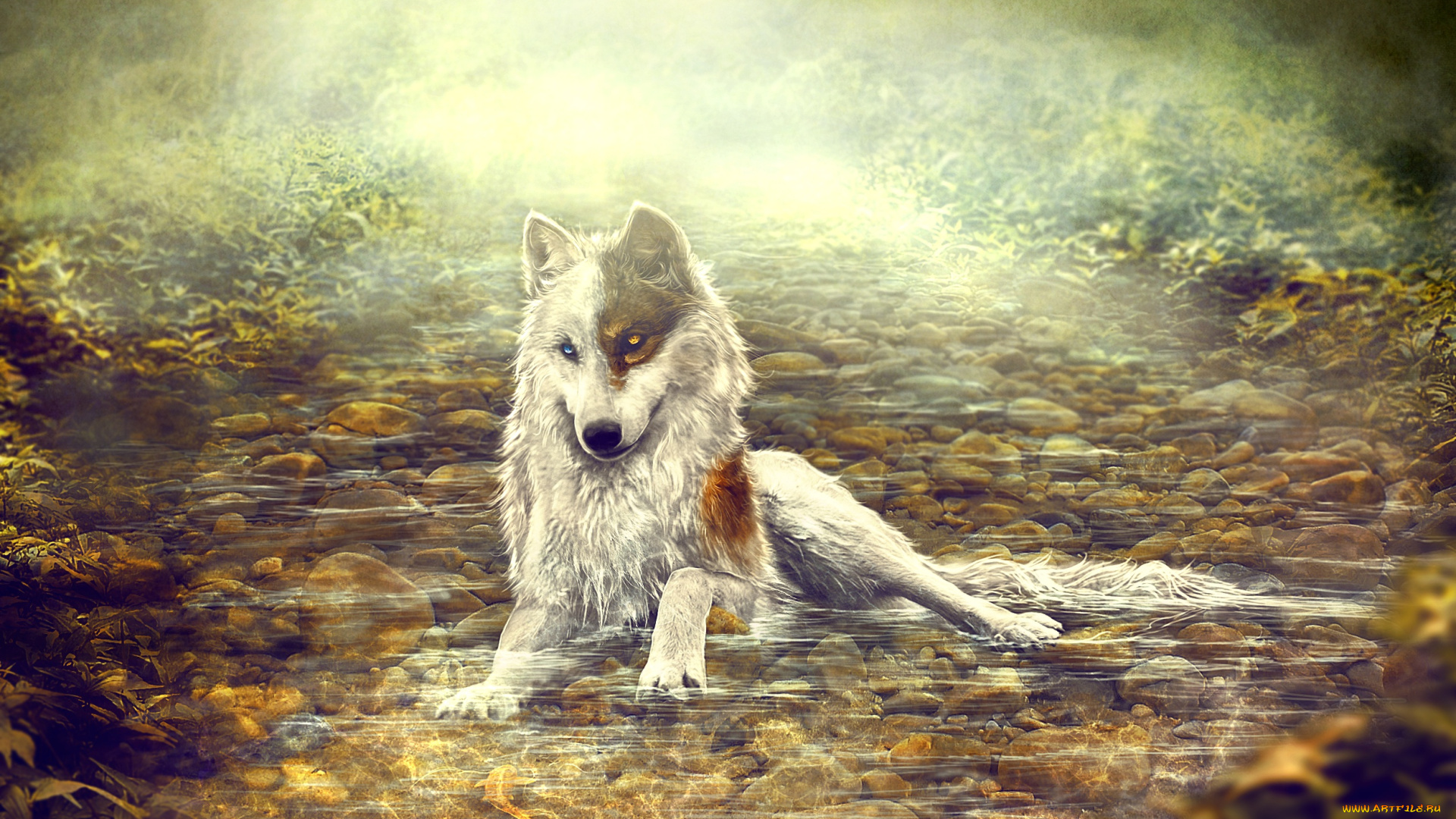 рисованное, животные, , волки, природа, by, amphispiza, вода, волк