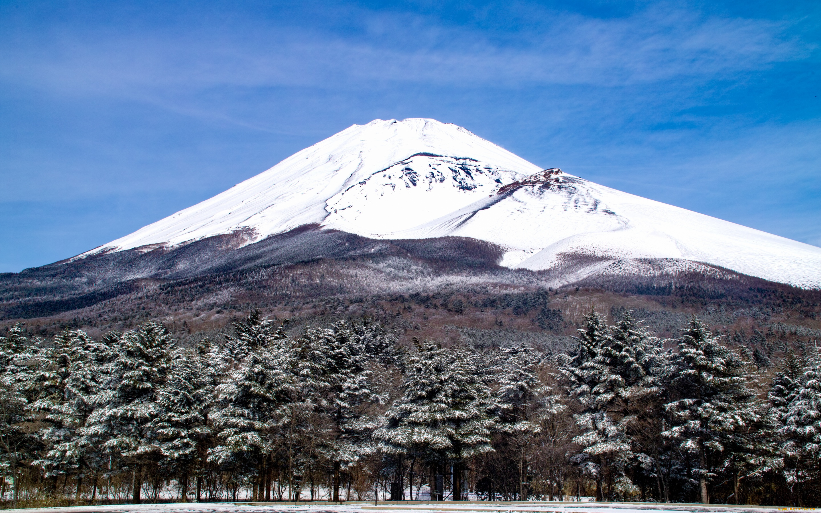 природа, горы, Япония, деревья, пейзаж, вулкан, гора, fuji