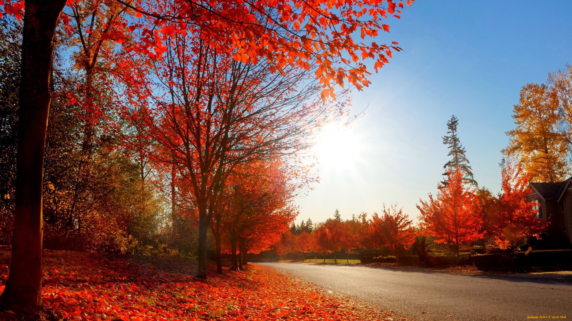 природа, дороги, листопад, листья, осень