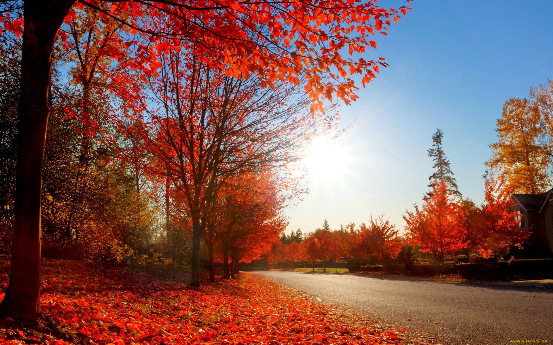 природа, дороги, листопад, листья, осень