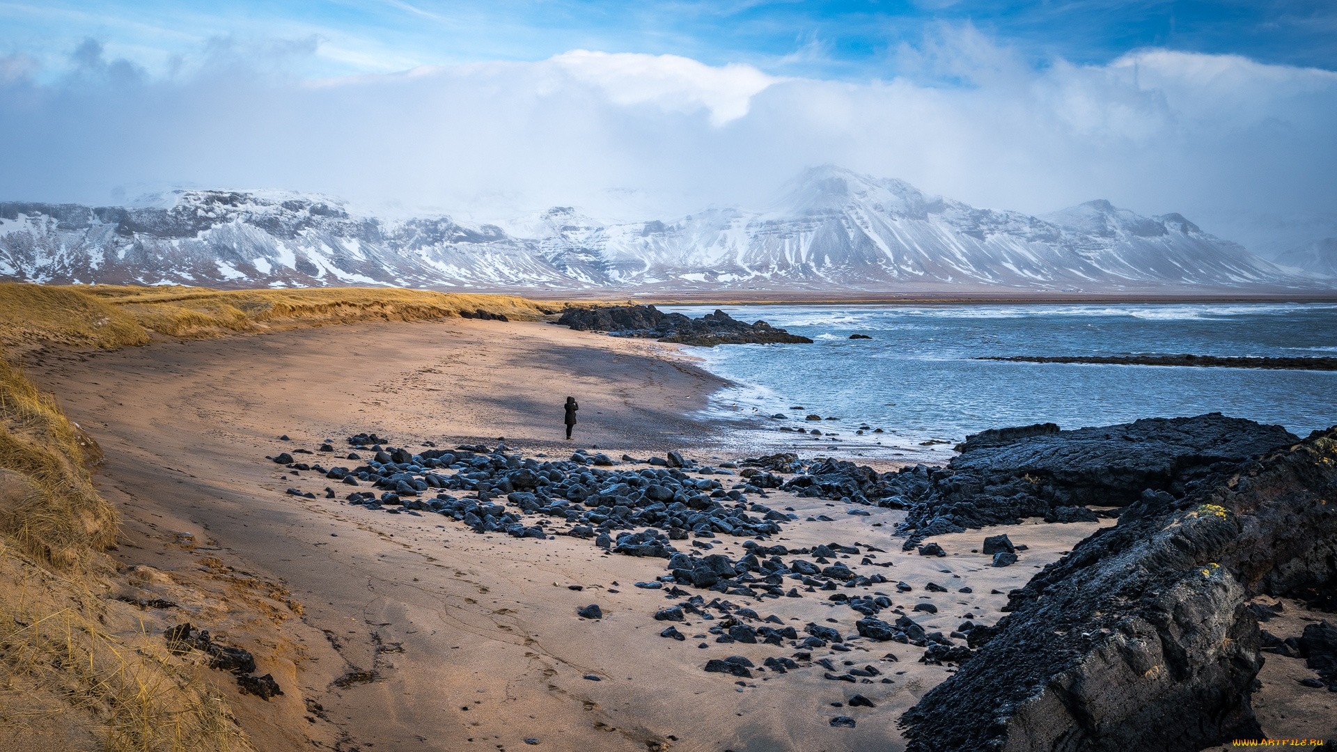 природа, побережье, исландия
