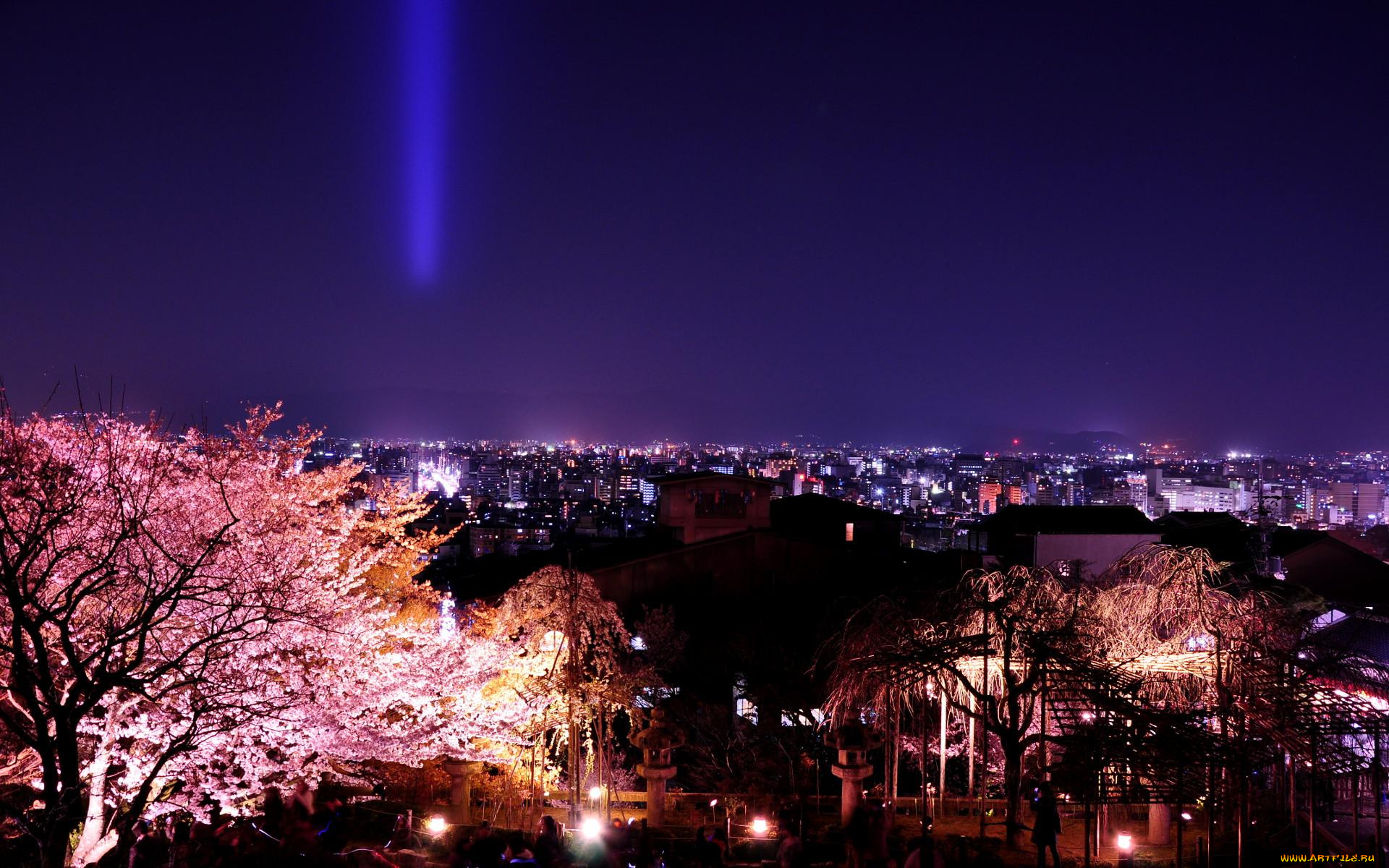 Kyoto Escort