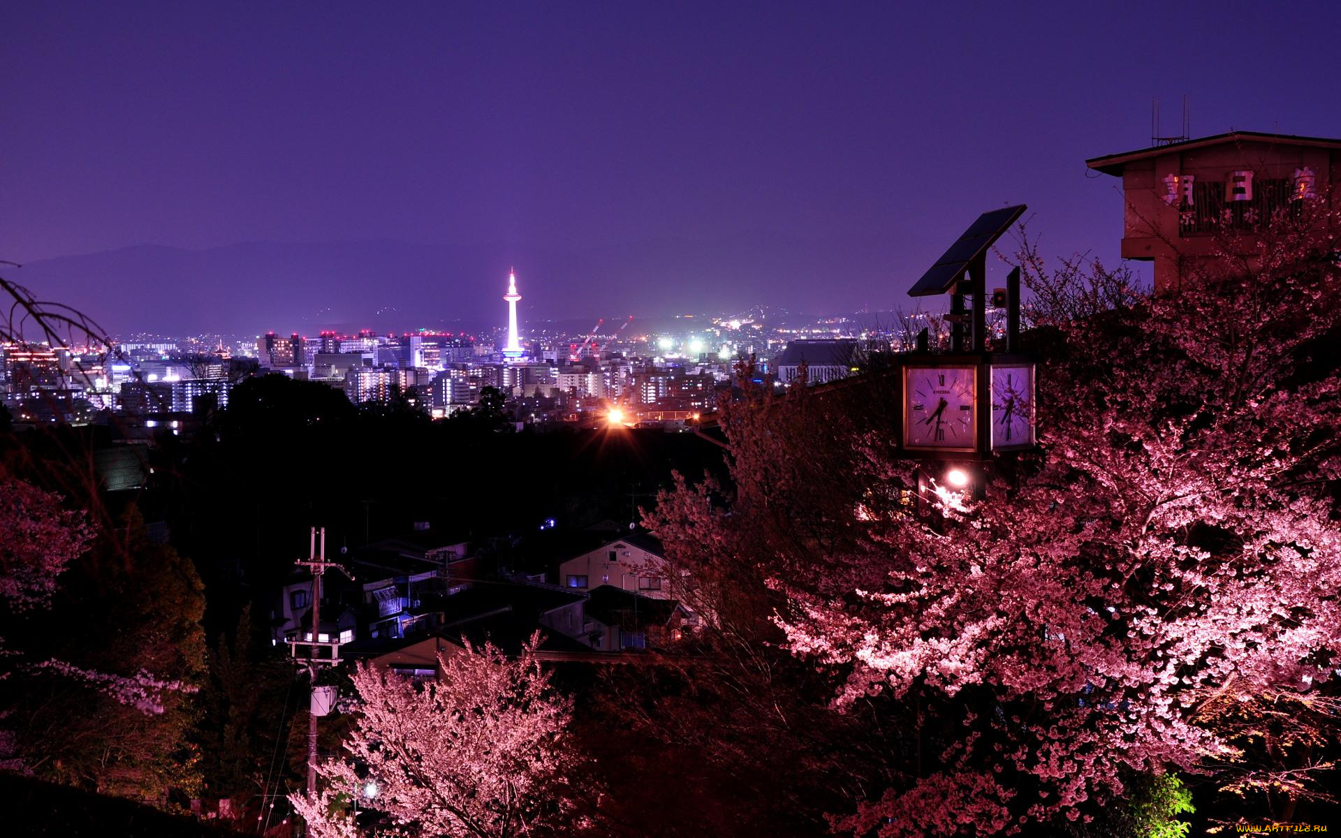 города, огни, ночного, kyoto