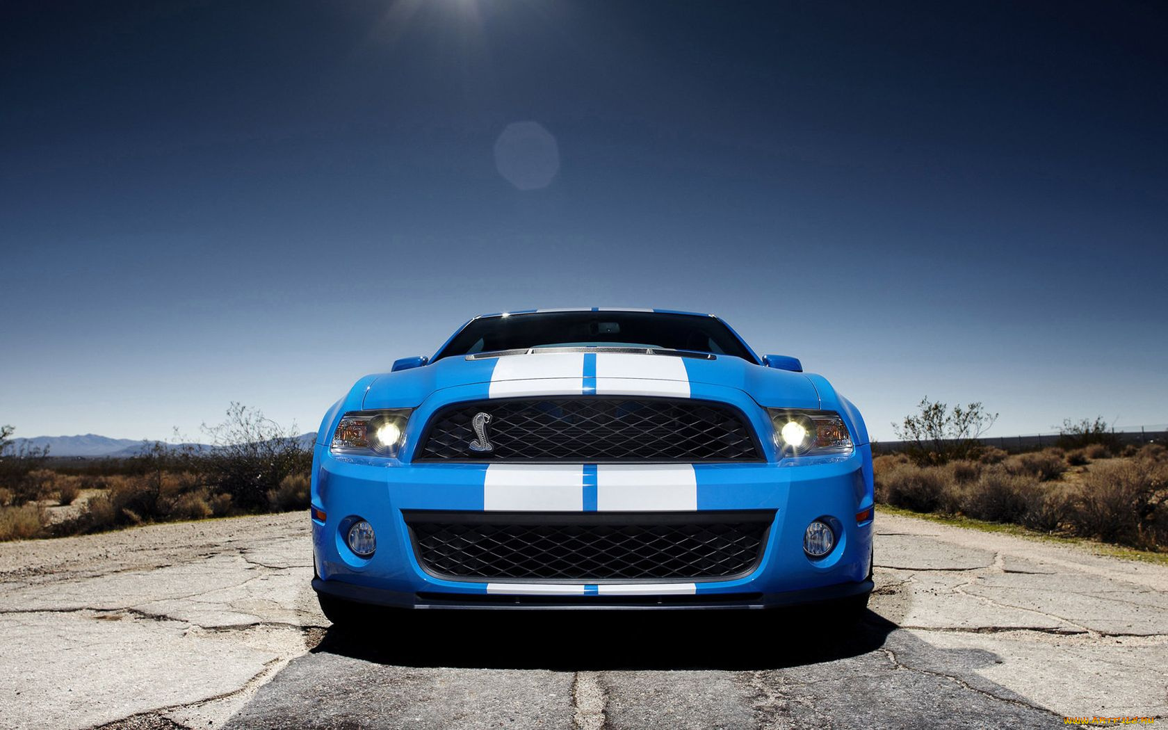 2010, ford, shelby, gt500, автомобили, mustang