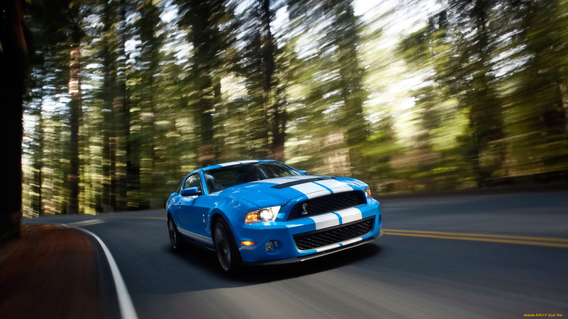 2010, ford, shelby, gt500, автомобили