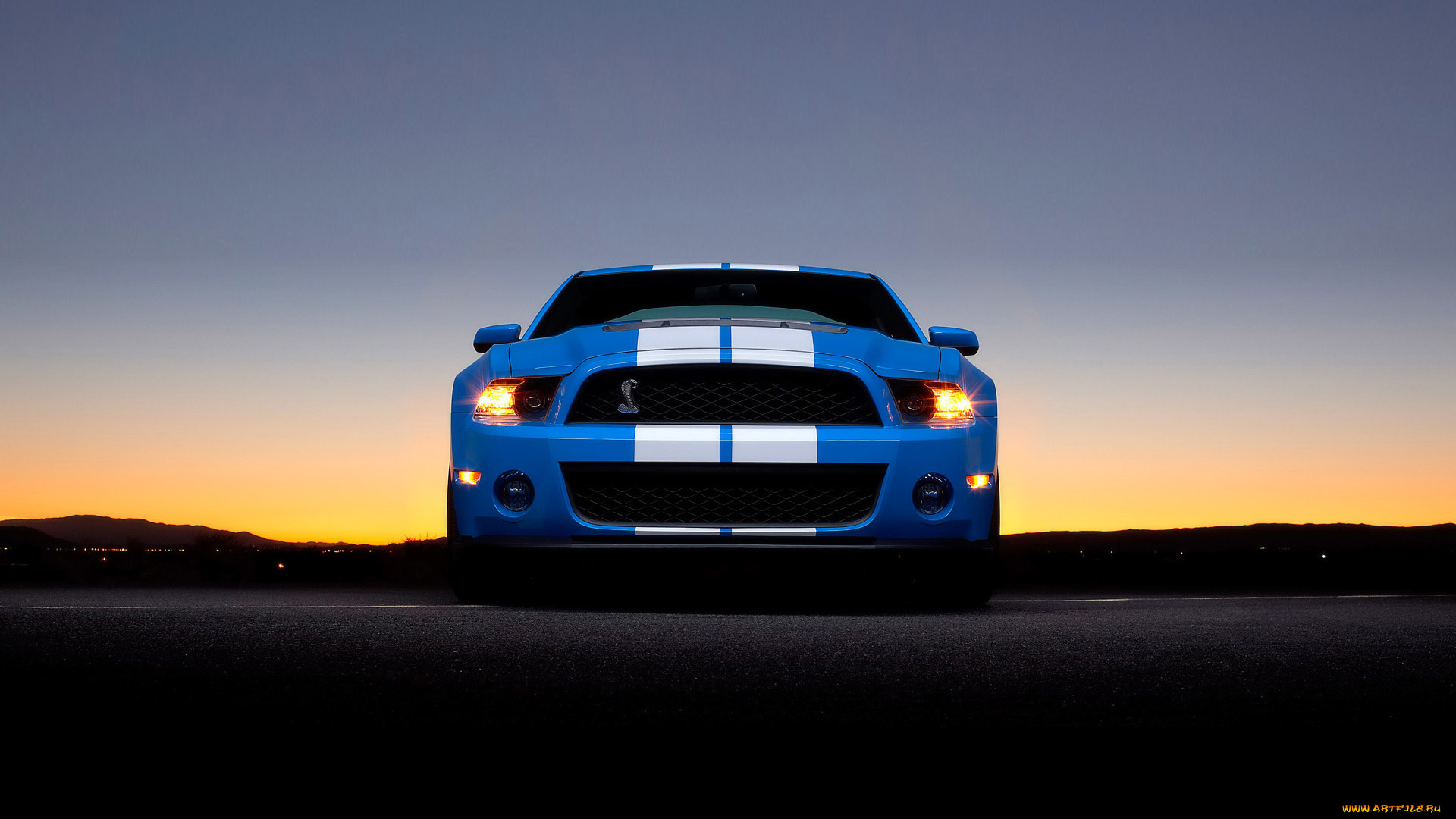 2010, ford, shelby, gt500, автомобили