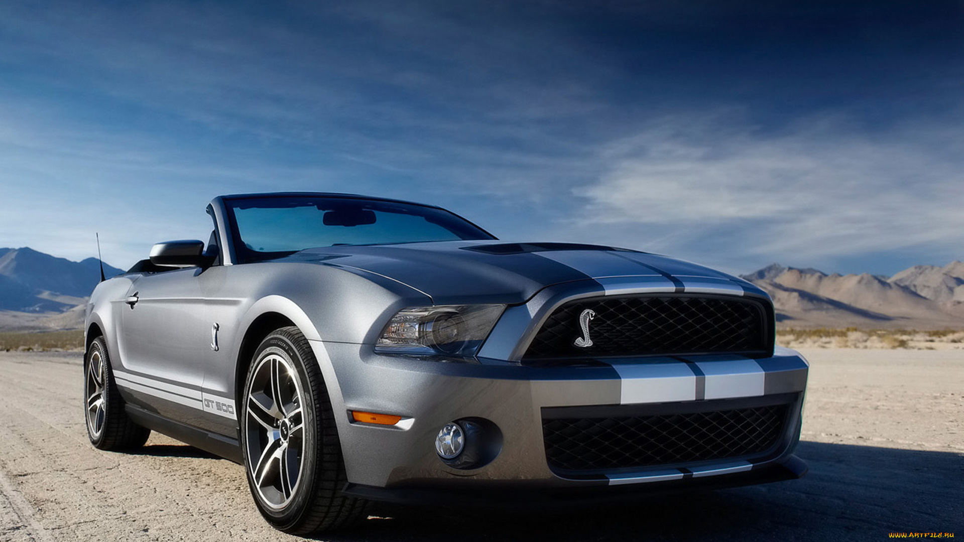 2010, ford, shelby, gt500, автомобили