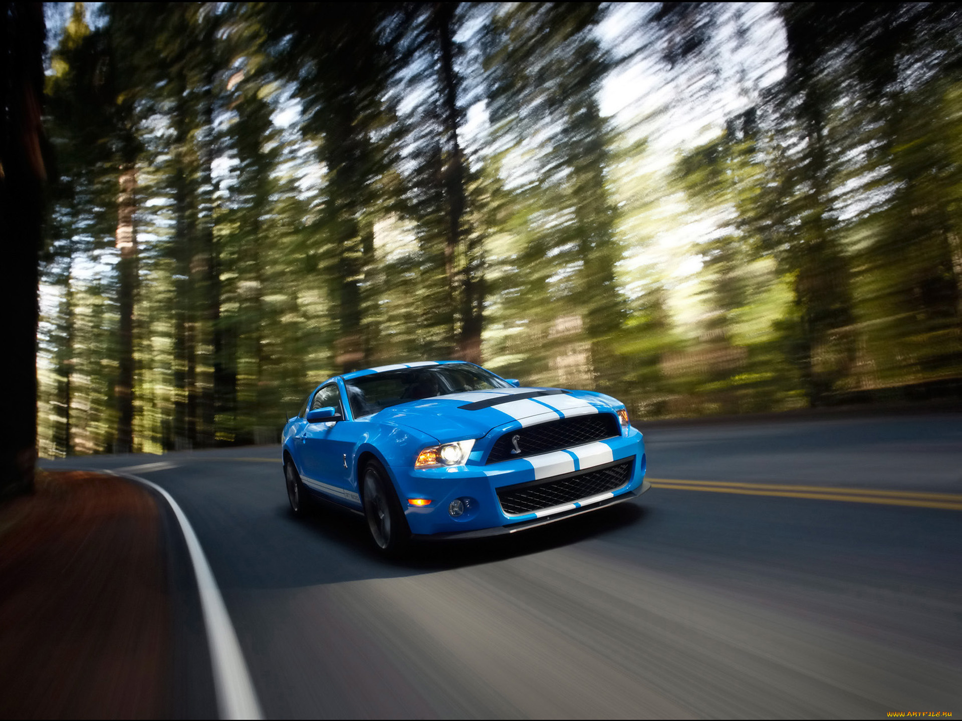 2010, ford, shelby, gt500, автомобили