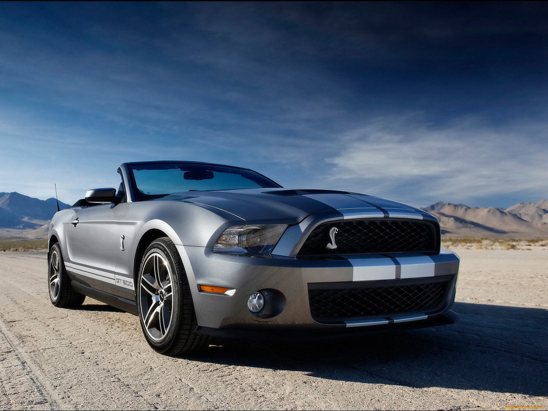 2010, ford, shelby, gt500, автомобили