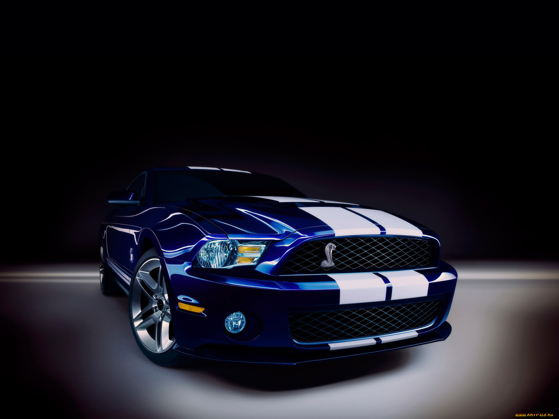 2010, ford, shelby, gt500, автомобили