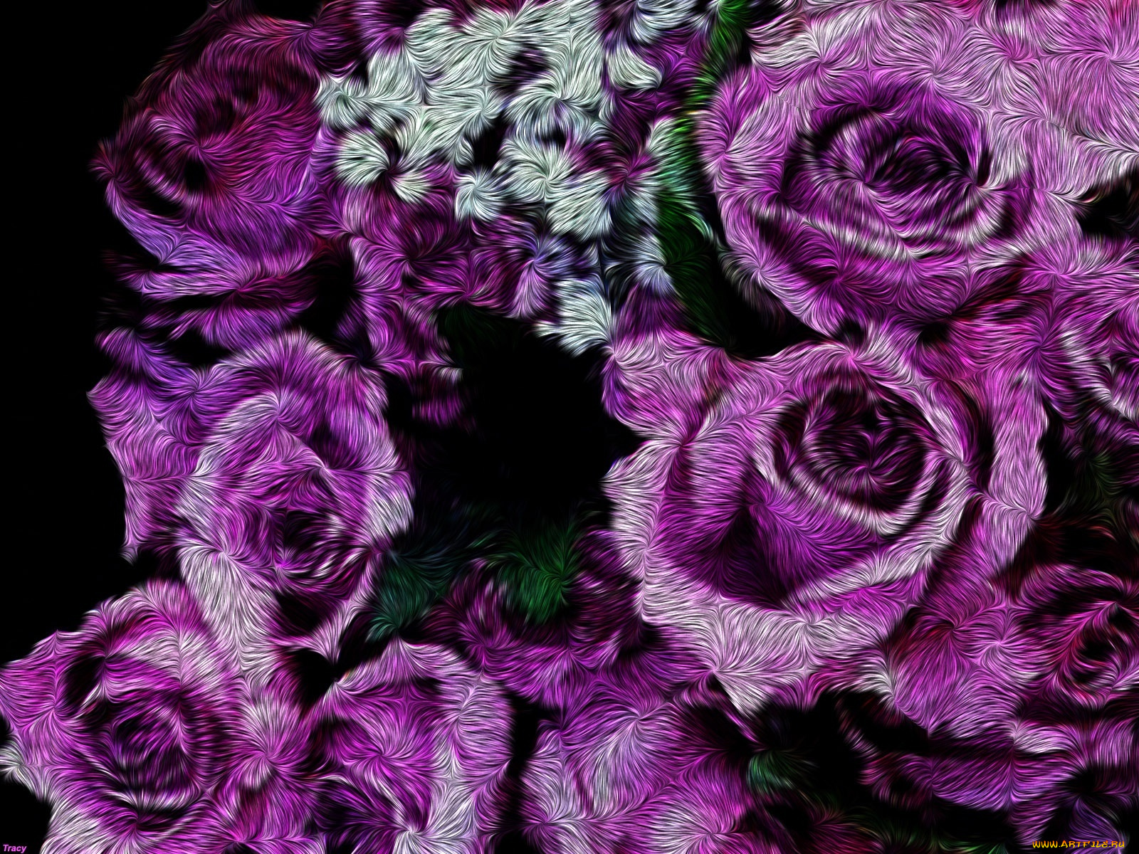 3д, графика, flowers, цветы, розовый, фон, тёмный