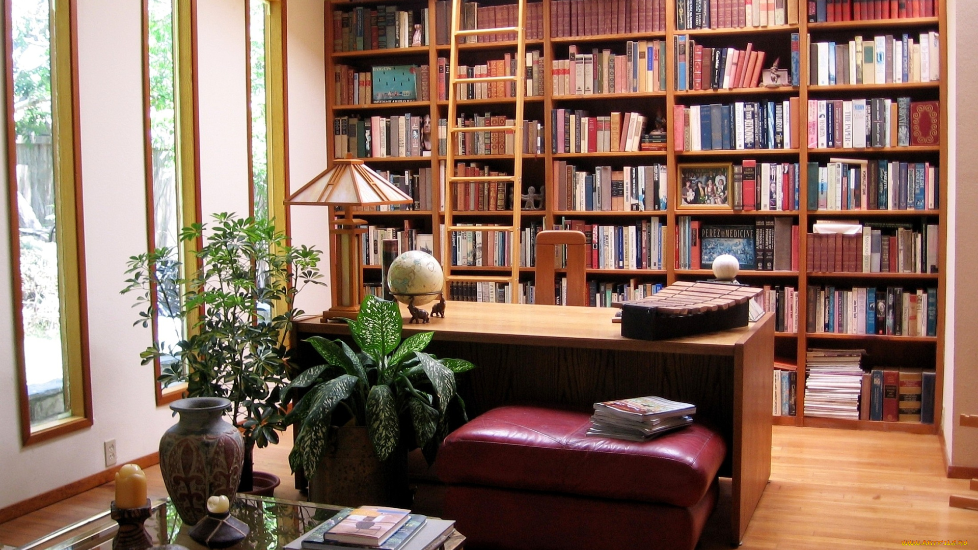 интерьер, кабинет, библиотека, офис, стеллаж, книги, стол, кресло, вазоны