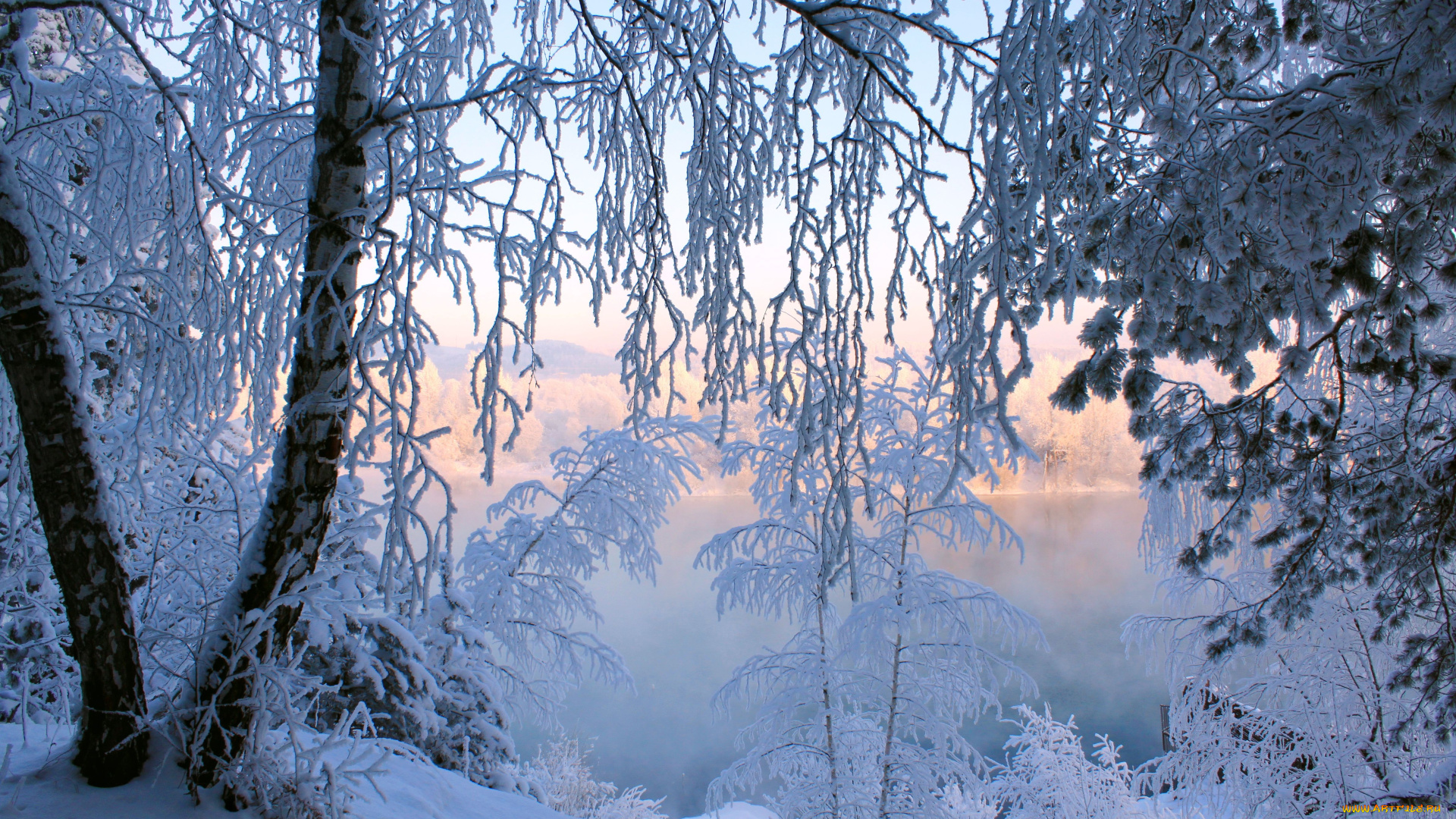 природа, зима, деревья, снег, иней