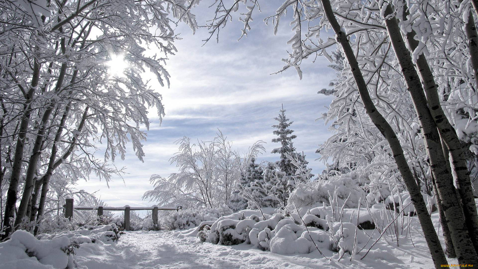 природа, зима, зимний, пейзаж, заснеженные, деревья, романтика, зимы