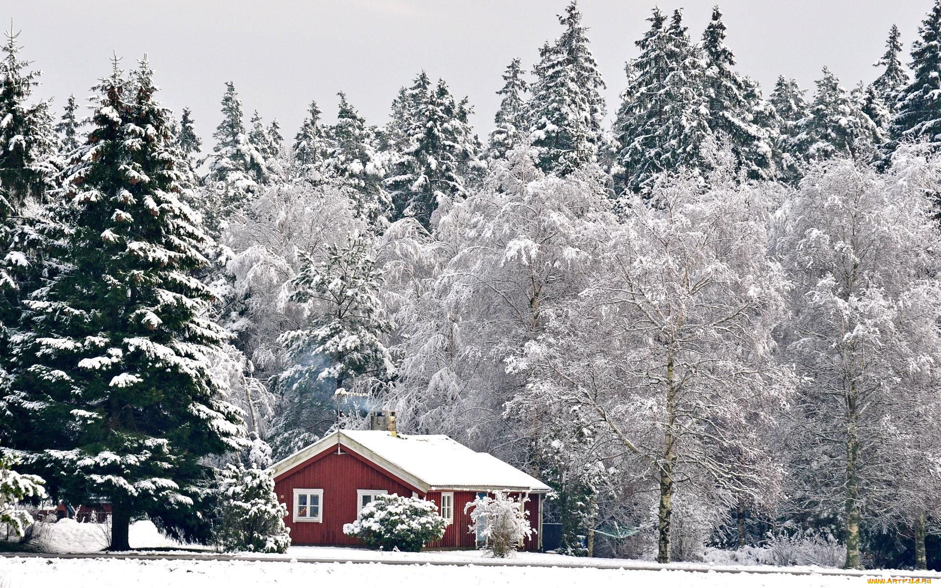 природа, зима, домик, снег, деревья