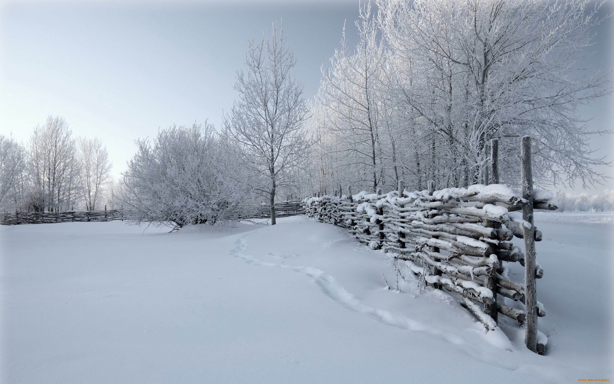 №599105, природа, зима, снег, деревья, забор
