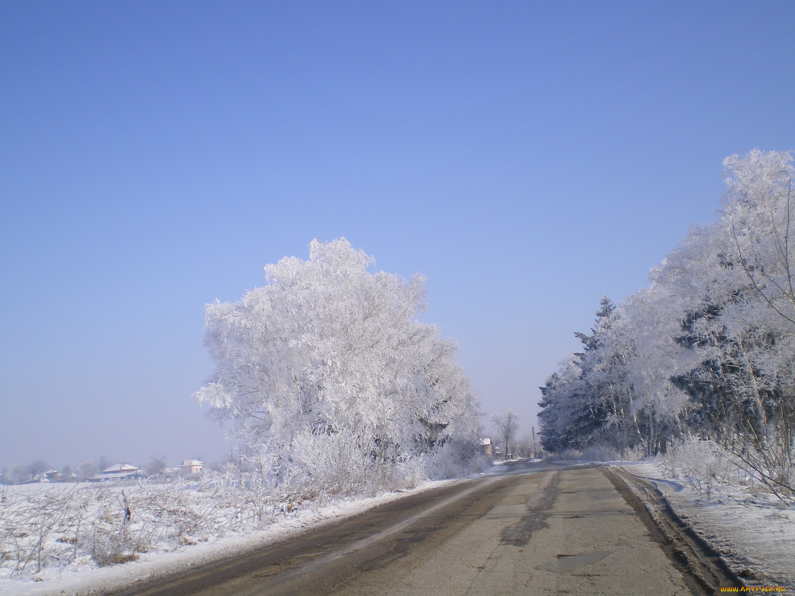 природа, зима, деревья, дорога, снег