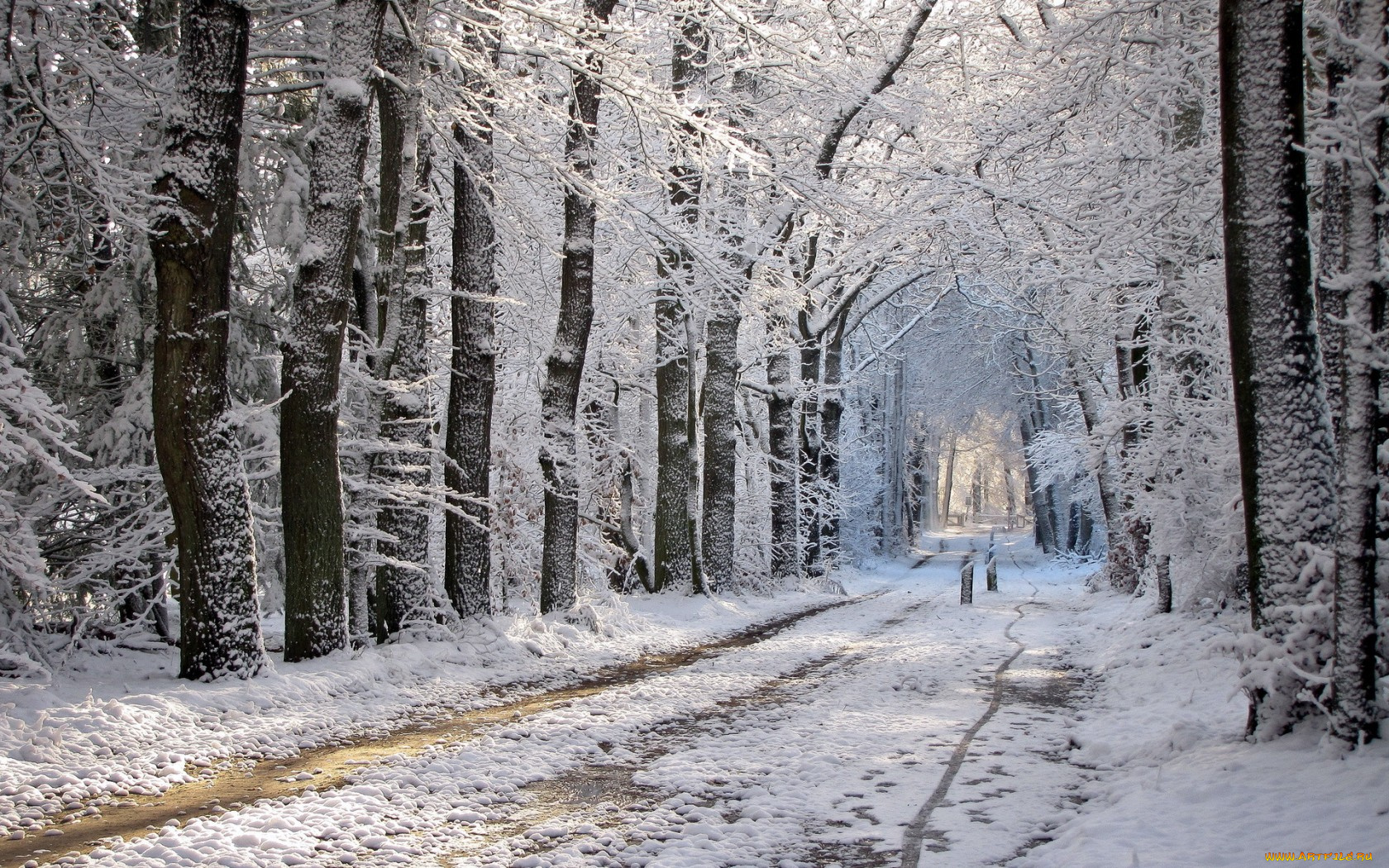 природа, зима, дорога