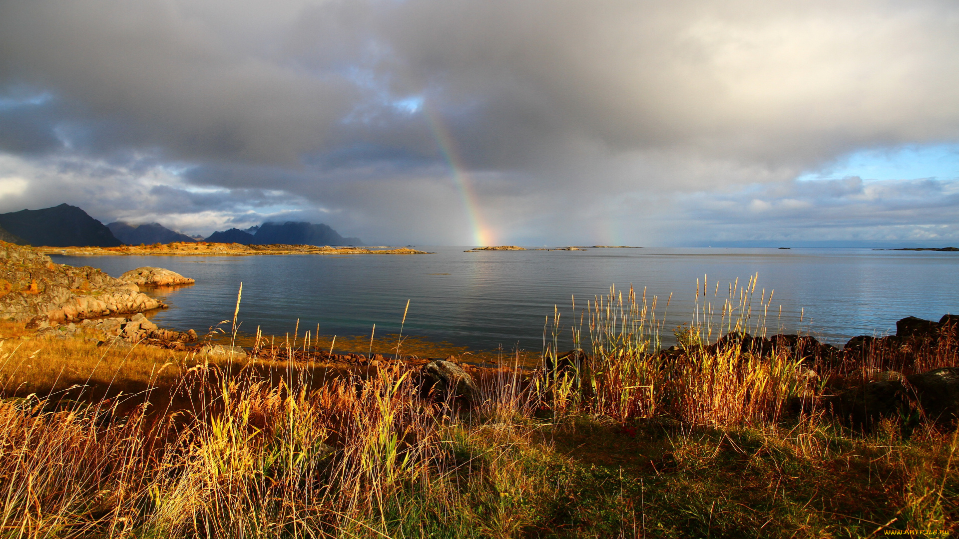 норвегия, природа, радуга, река