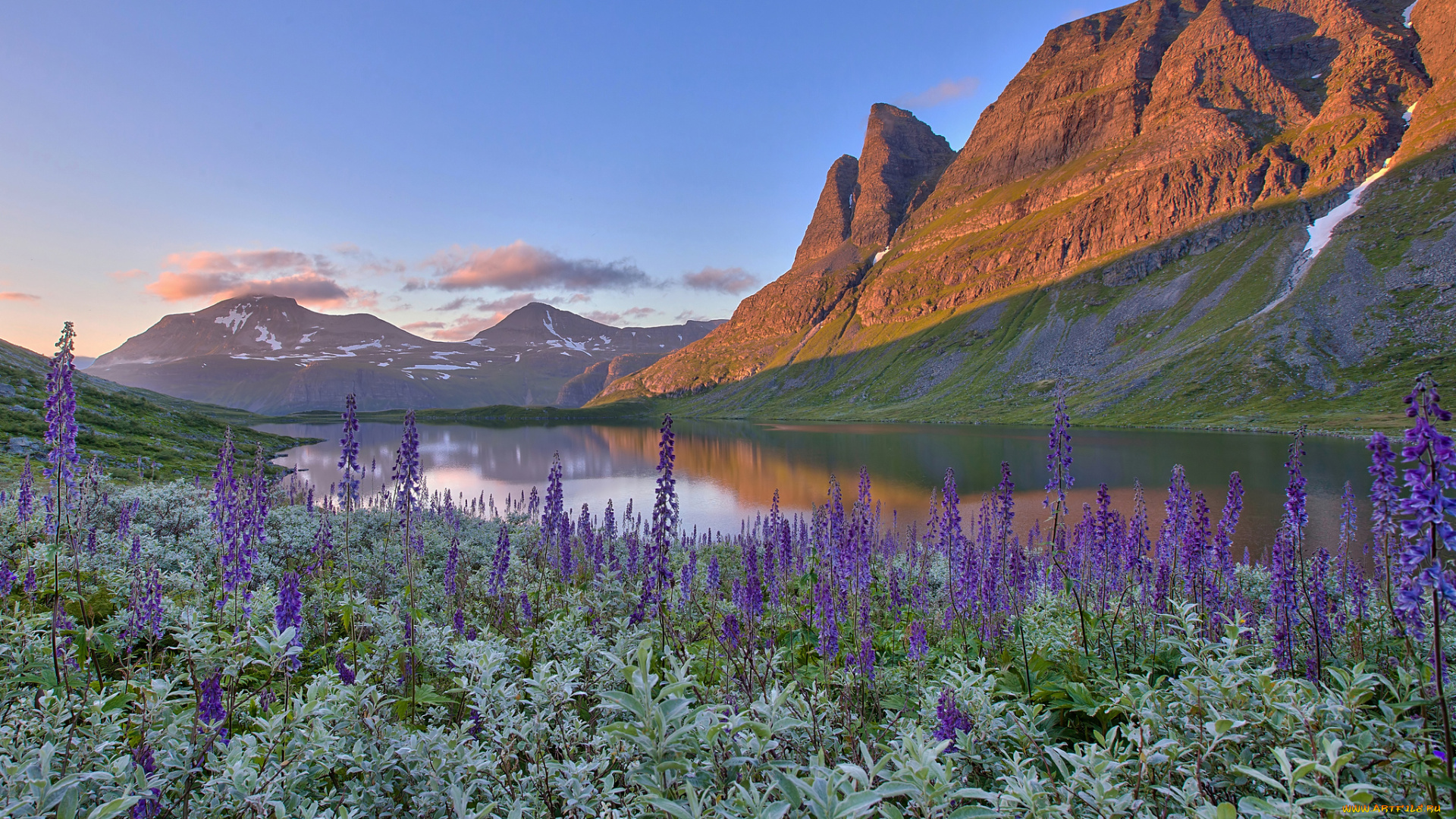 природа, реки, озера, горы, norway, норвегия, озеро, цветы, пейзаж